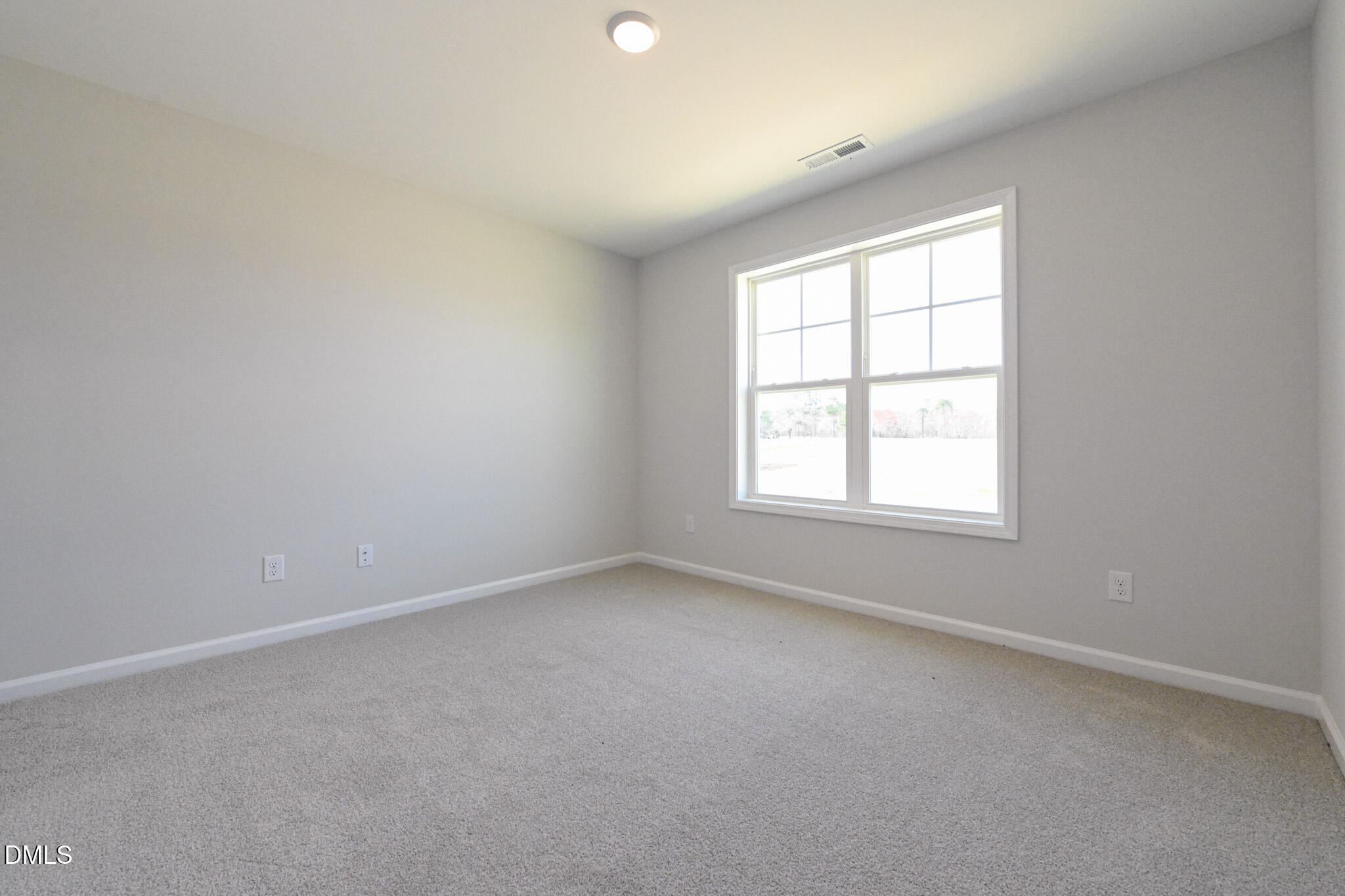 263 Black Duck Lane (lot 94) Property Photo 21