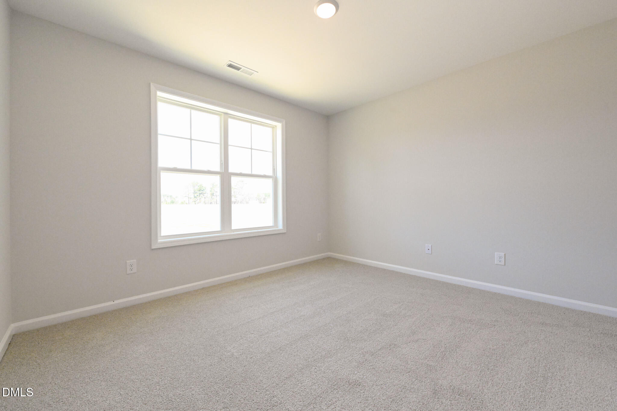 263 Black Duck Lane (lot 94) Property Photo 25