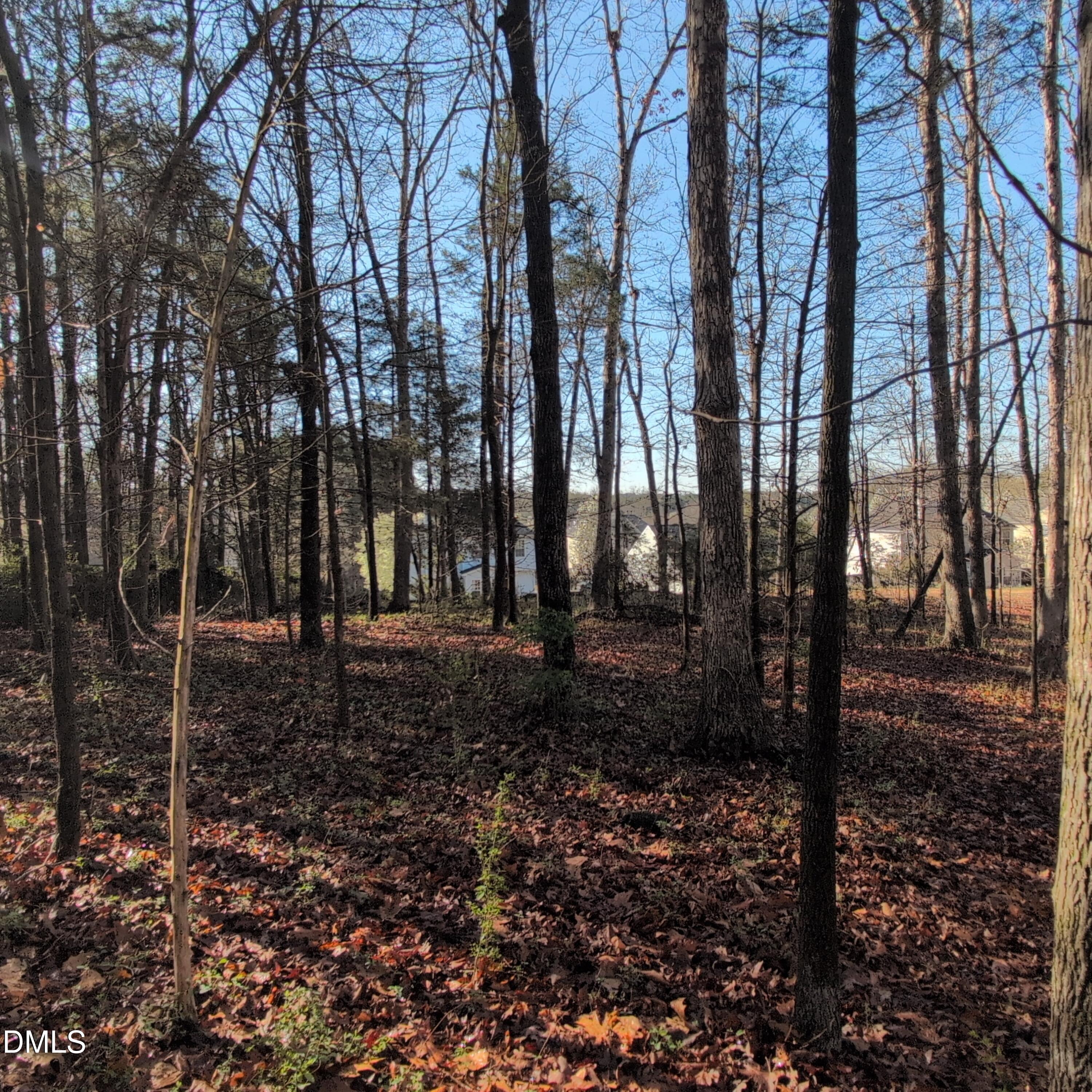 2925 Carriage Meadows Drive Property Photo 34