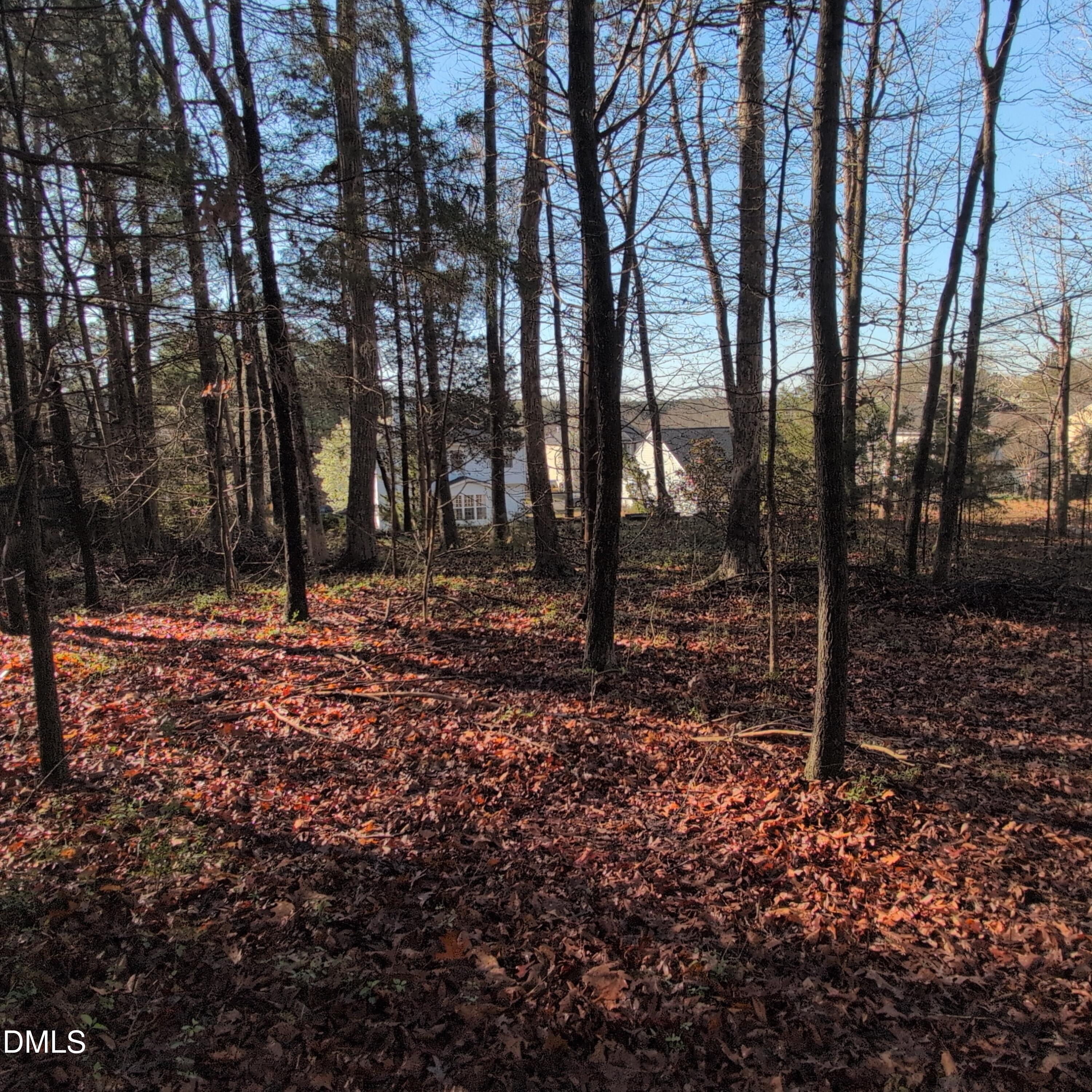 2925 Carriage Meadows Drive Property Photo 35