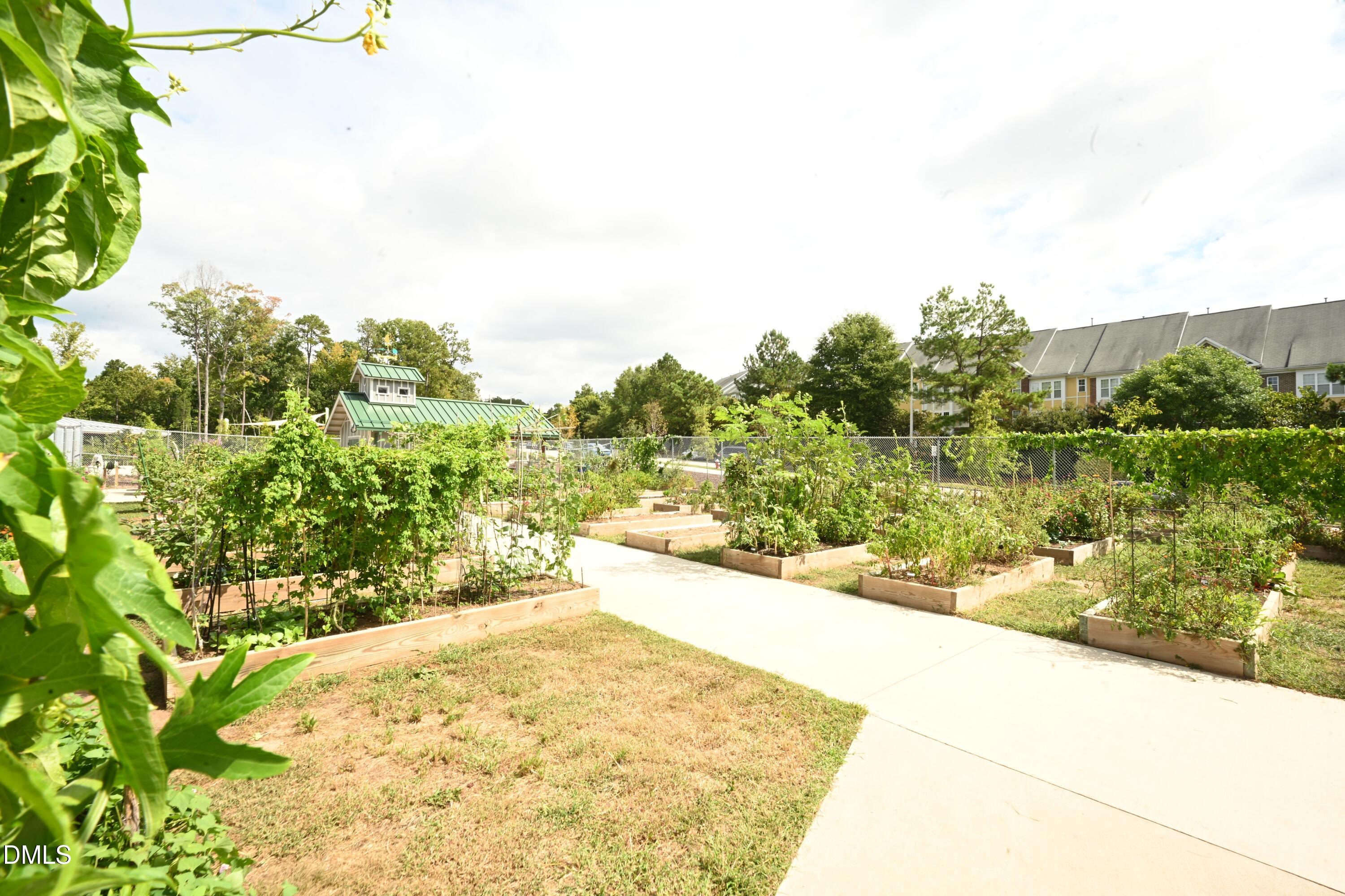 743 Blossom Grove Drive Property Photo 41