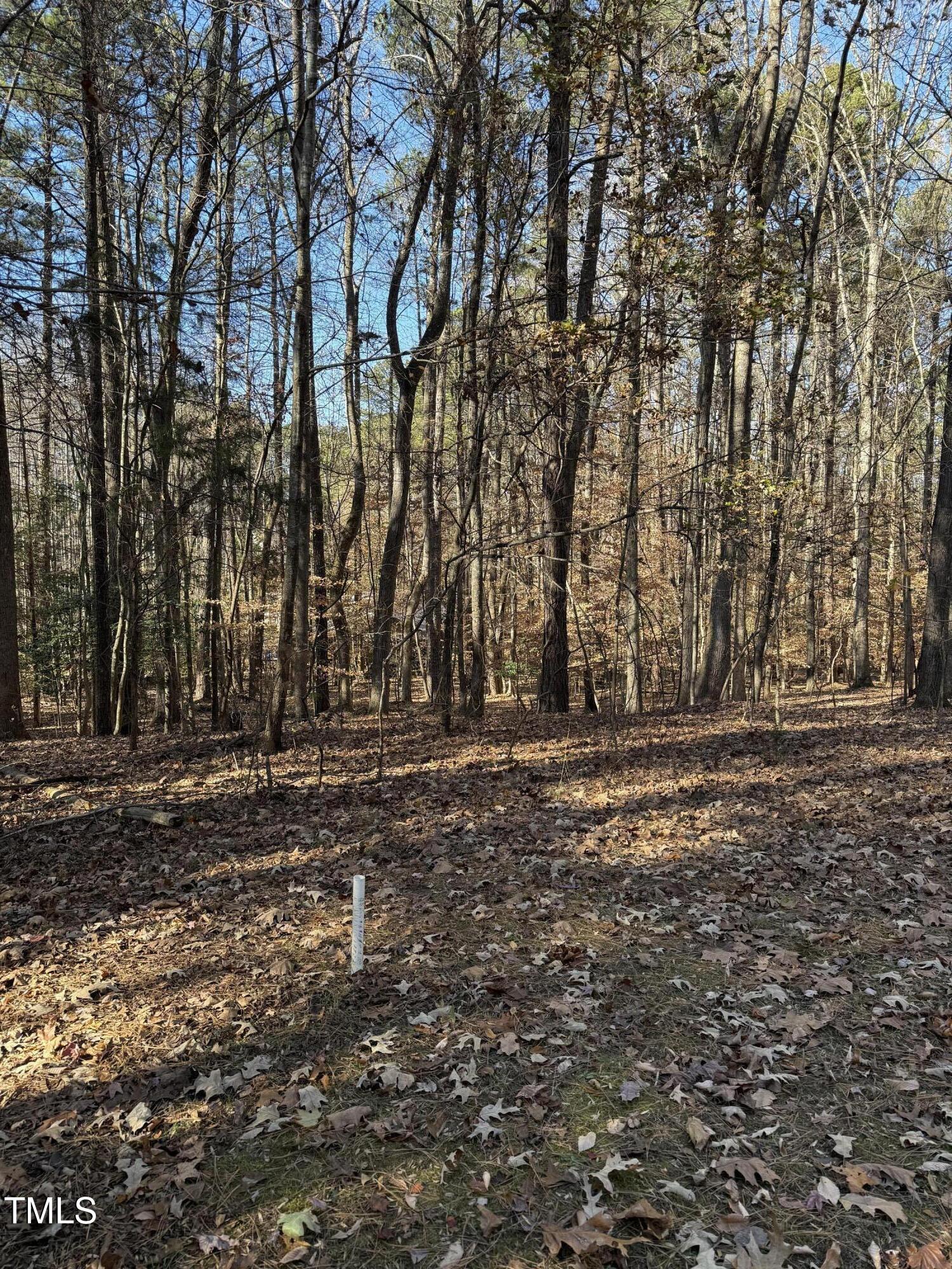 0 Laurel Court Property Photo 1