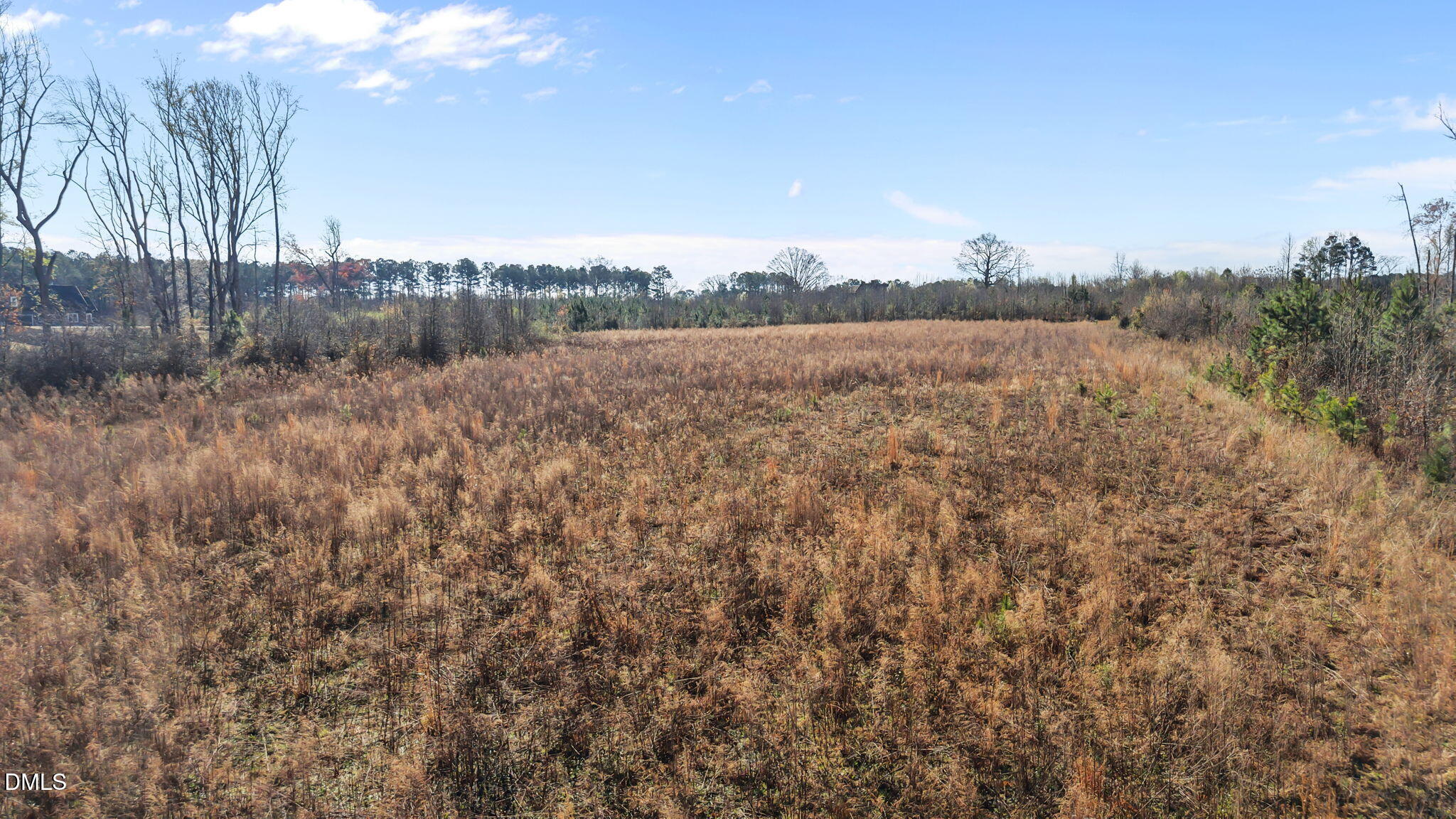 0 Dukes Lake Road Property Photo 8