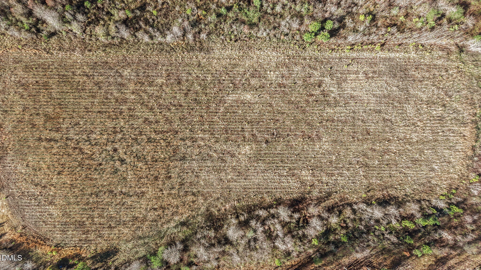 0 Dukes Lake Road Property Photo 12