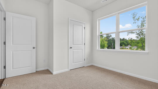 1413 White Verona Way Property Photo 28