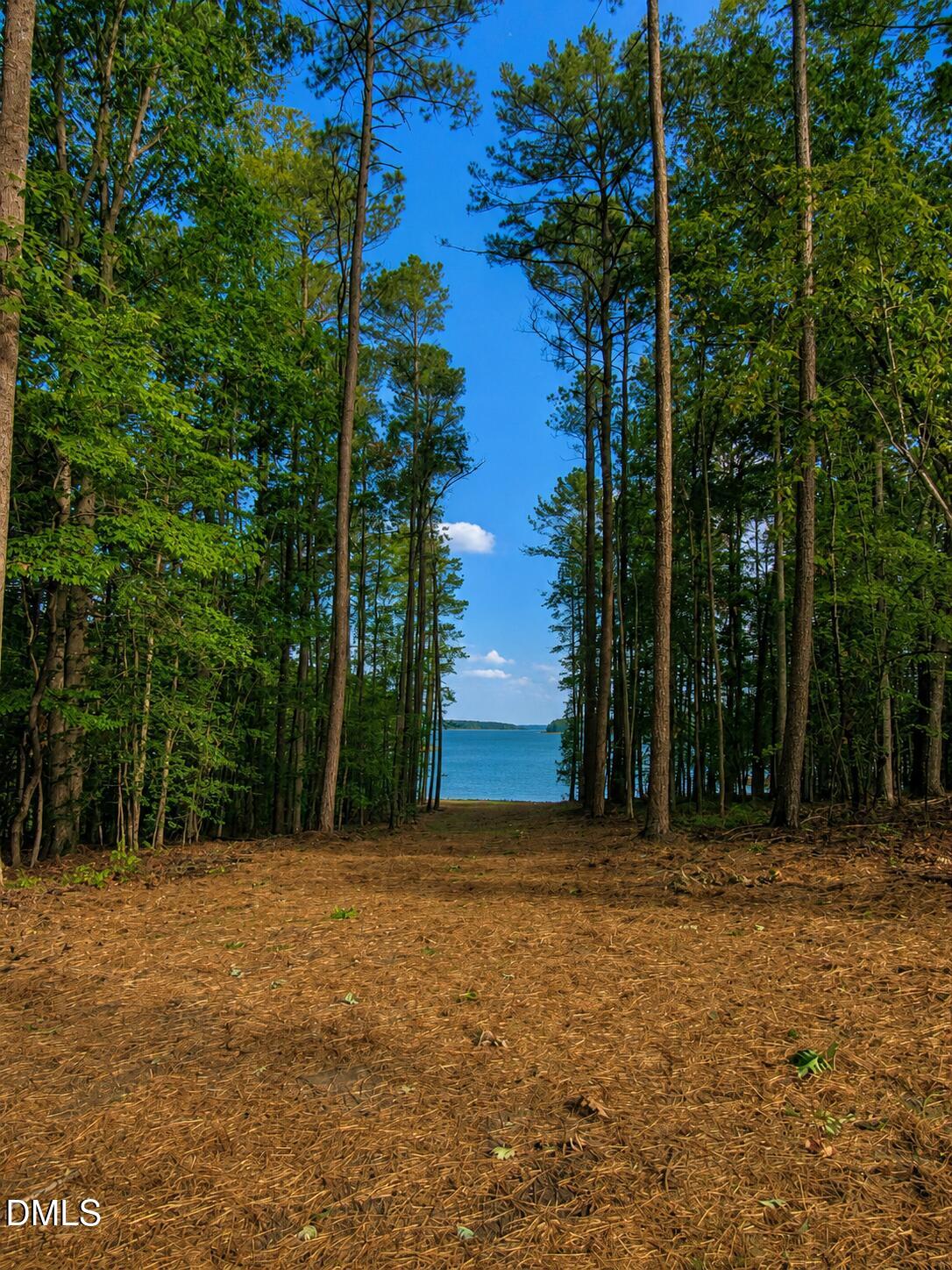 120 Shoreline Drive Property Photo 4