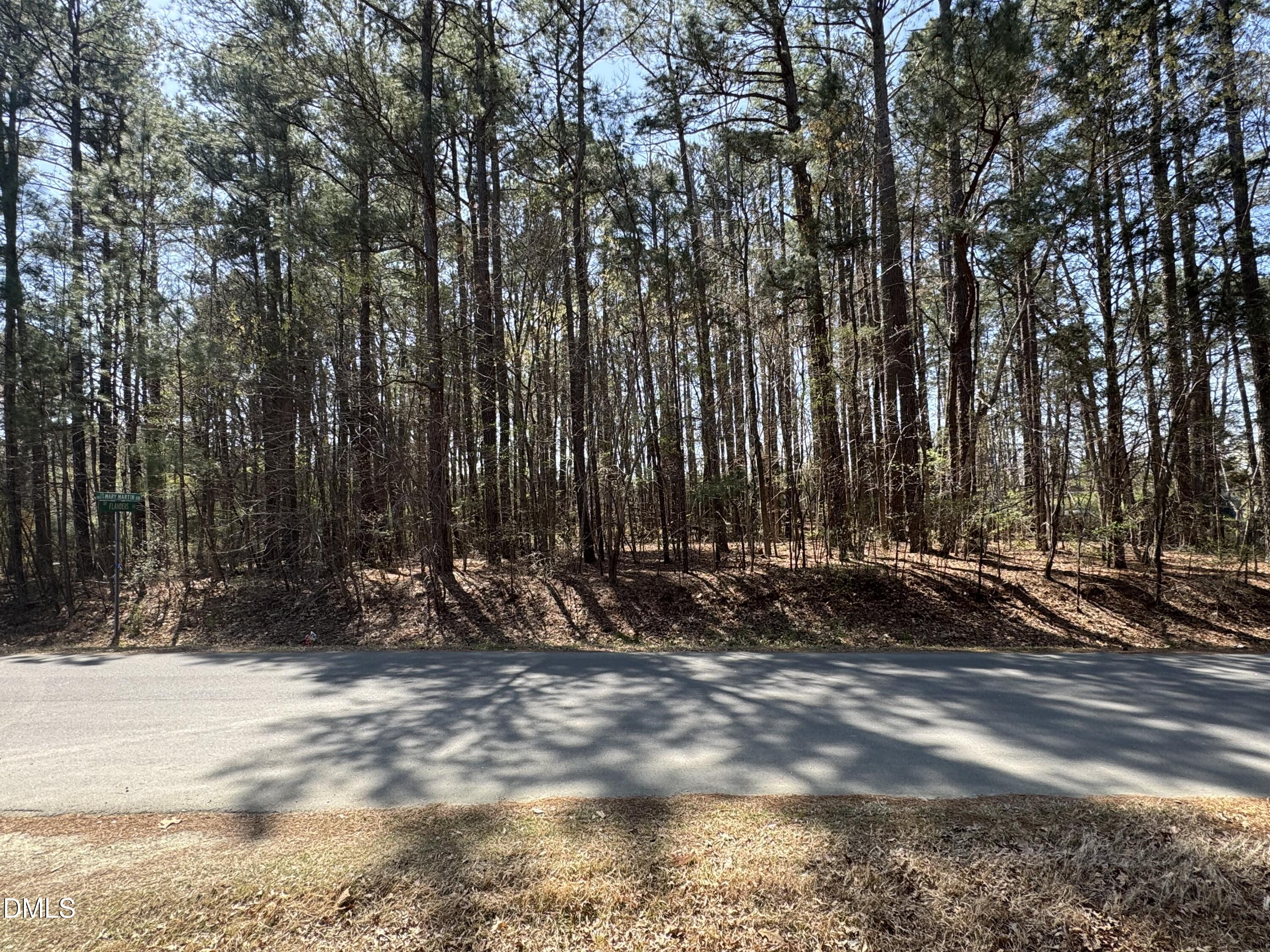 3822 Mary Martin Road Property Photo 3