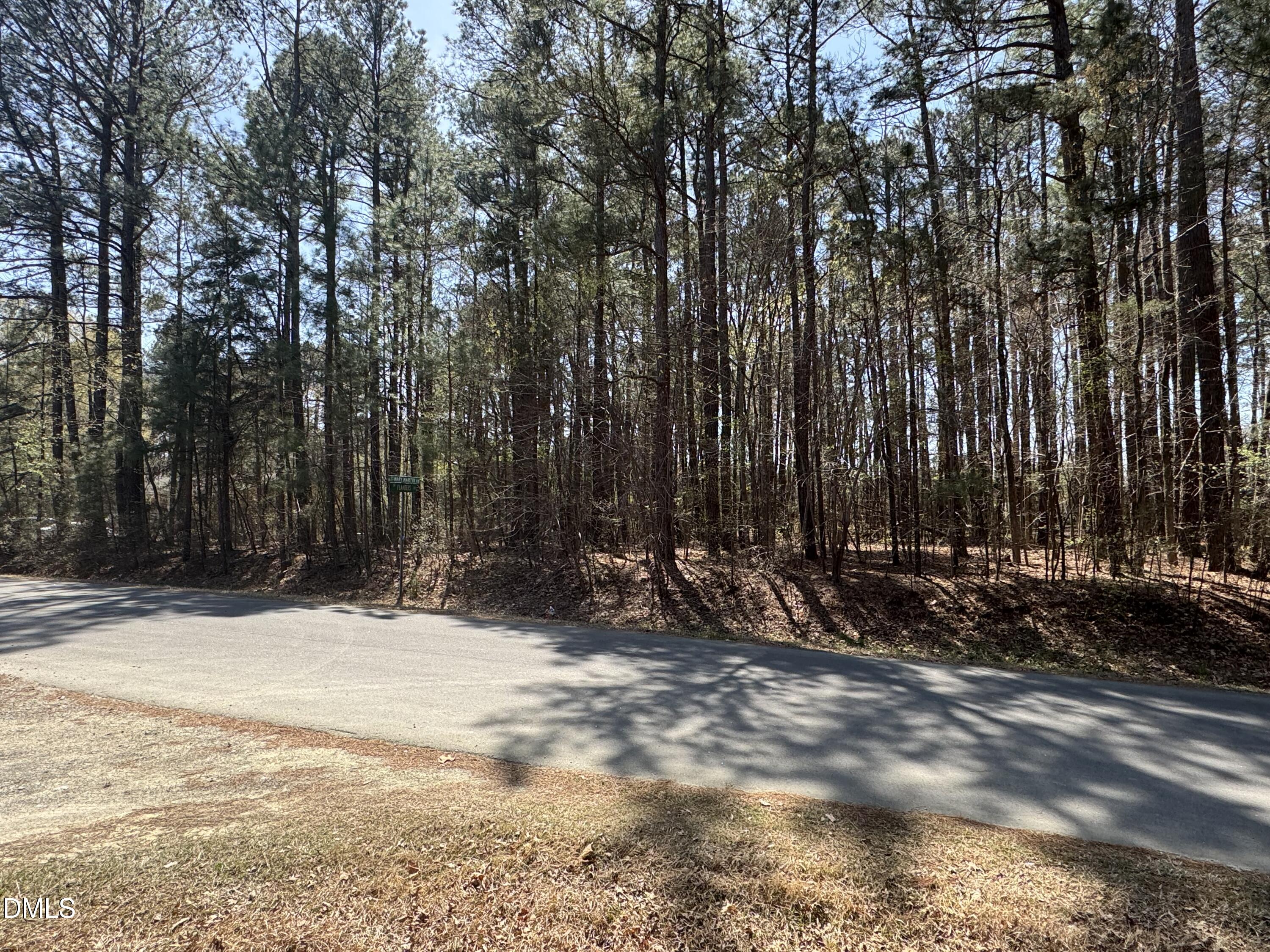 3822 Mary Martin Road Property Photo 4