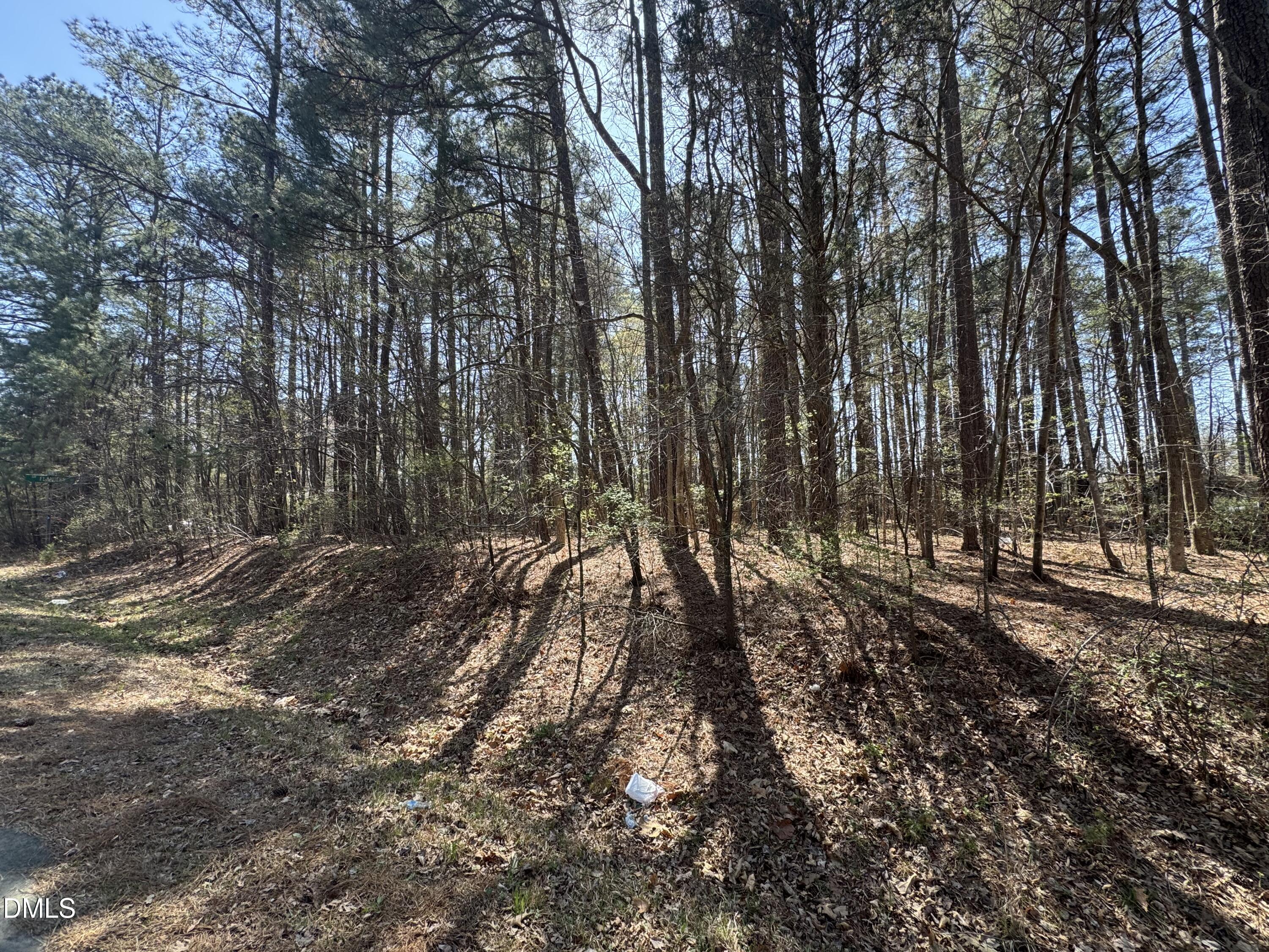 3822 Mary Martin Road Property Photo 7
