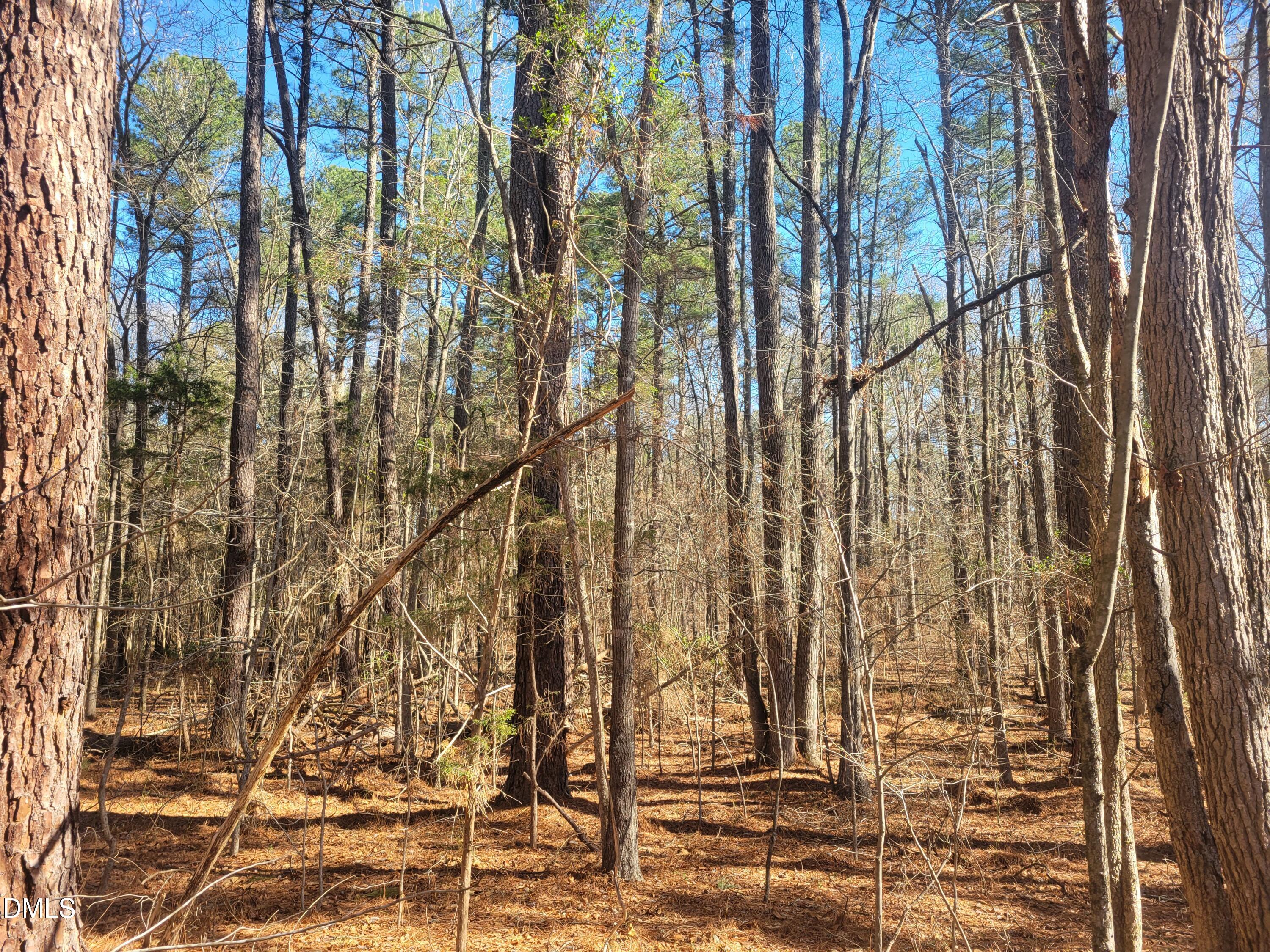 0 N Richardson Road Property Photo 14