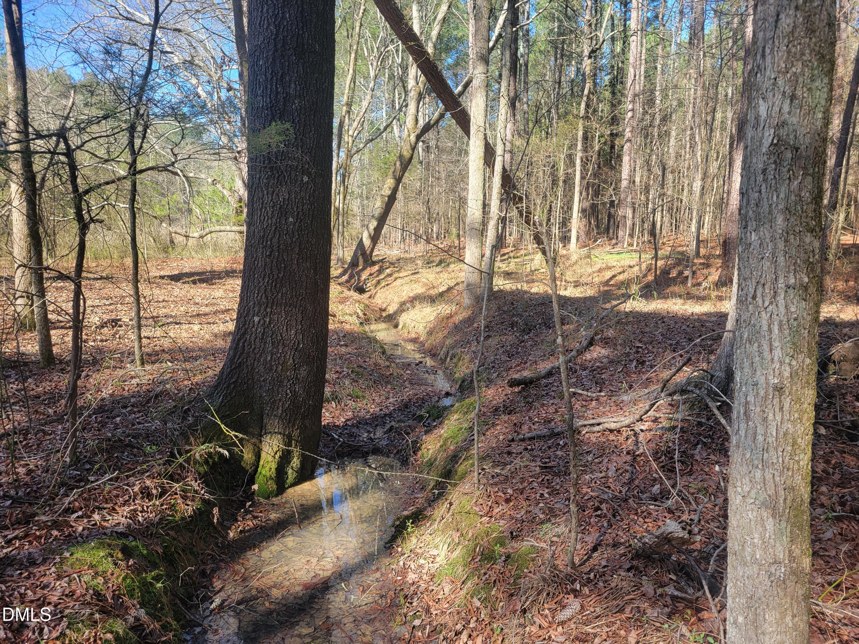 0 N Richardson Road Property Photo 15