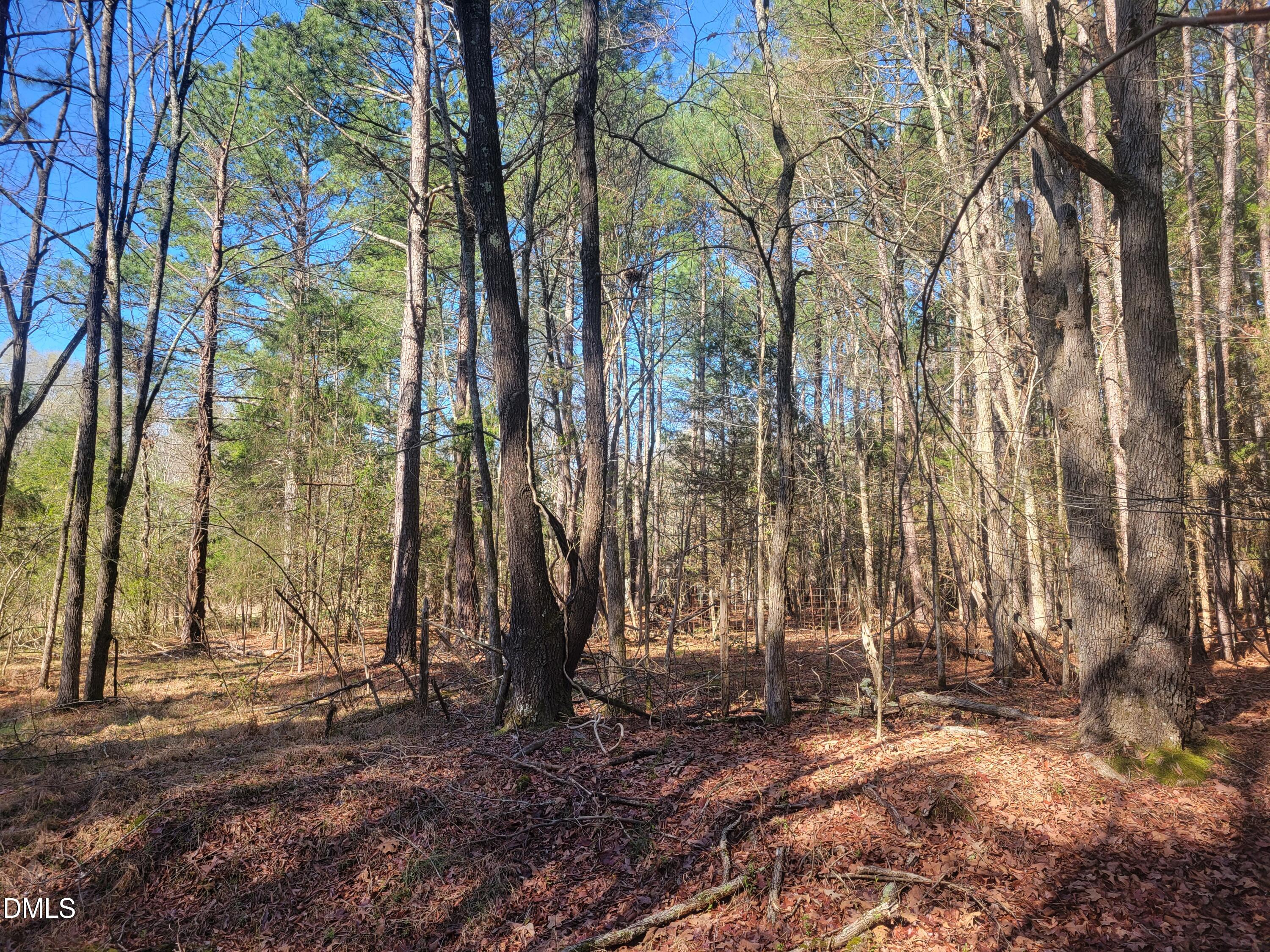 0 N Richardson Road Property Photo 17