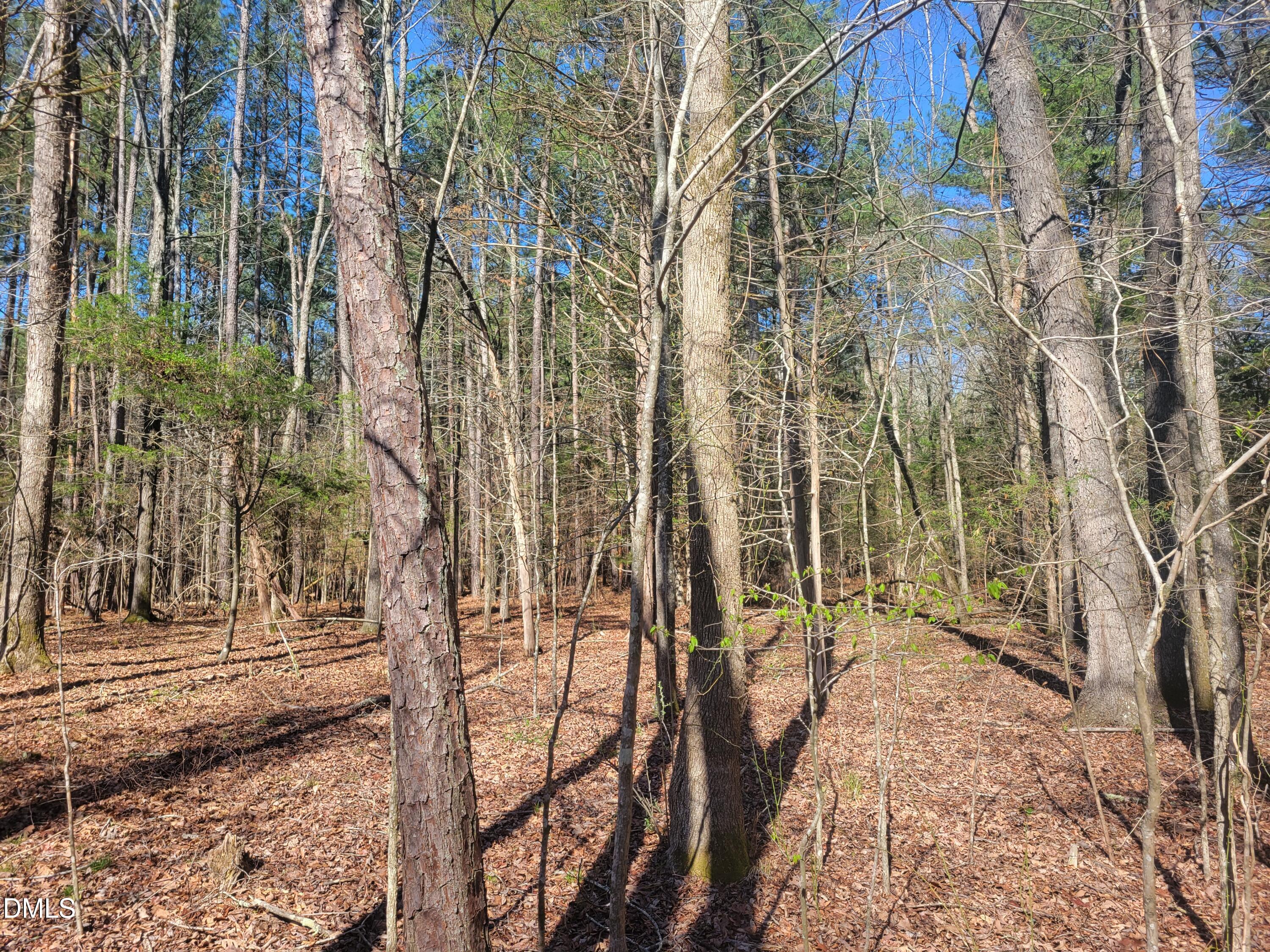 0 N Richardson Road Property Photo 23