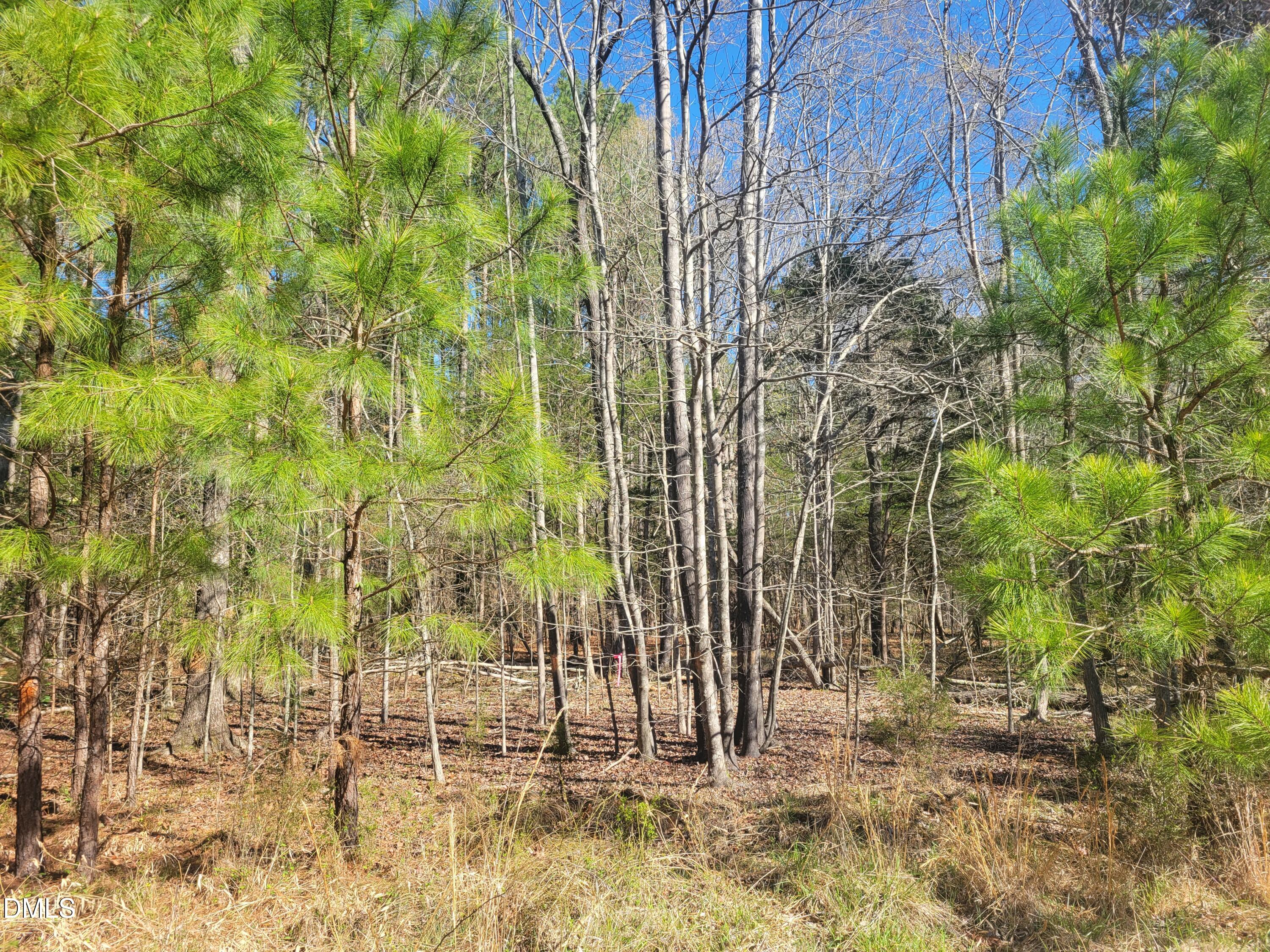 0 N Richardson Road Property Photo 26