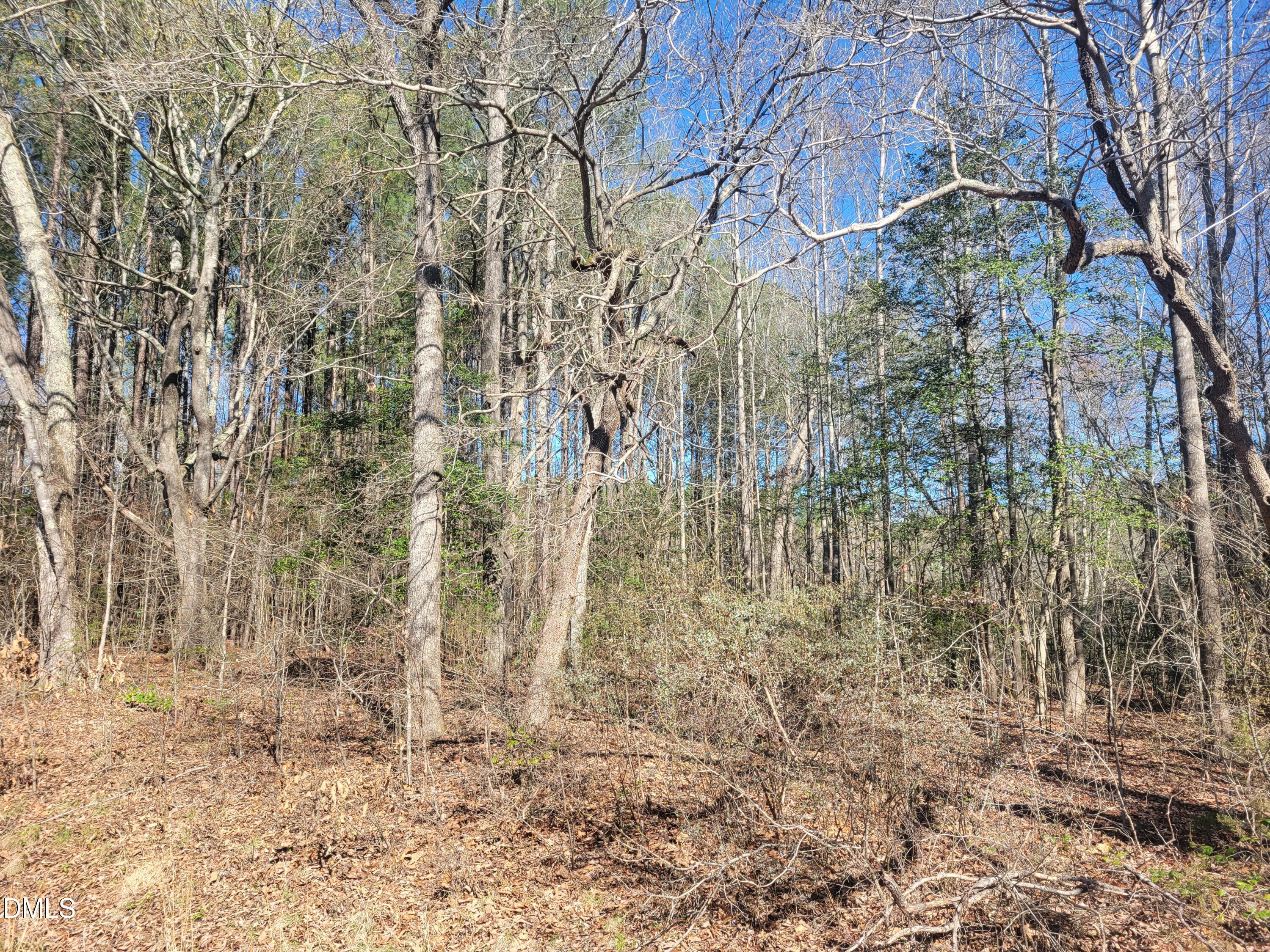 0 N Richardson Road Property Photo 31