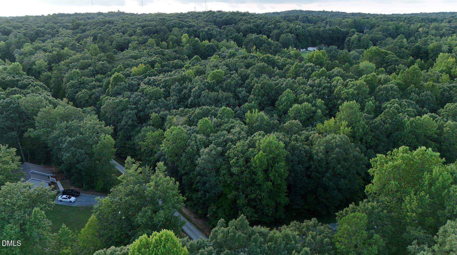 0 Bass Mountain Road Property Photo 10