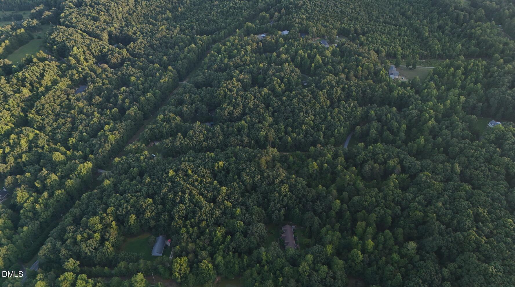 0 Bass Mountain Road Property Photo 13