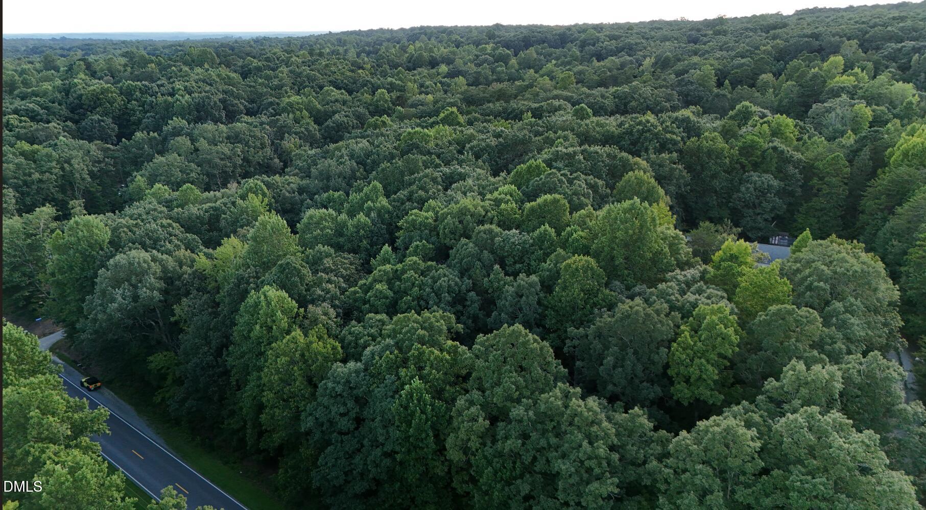 0 Bass Mountain Road Property Photo 15