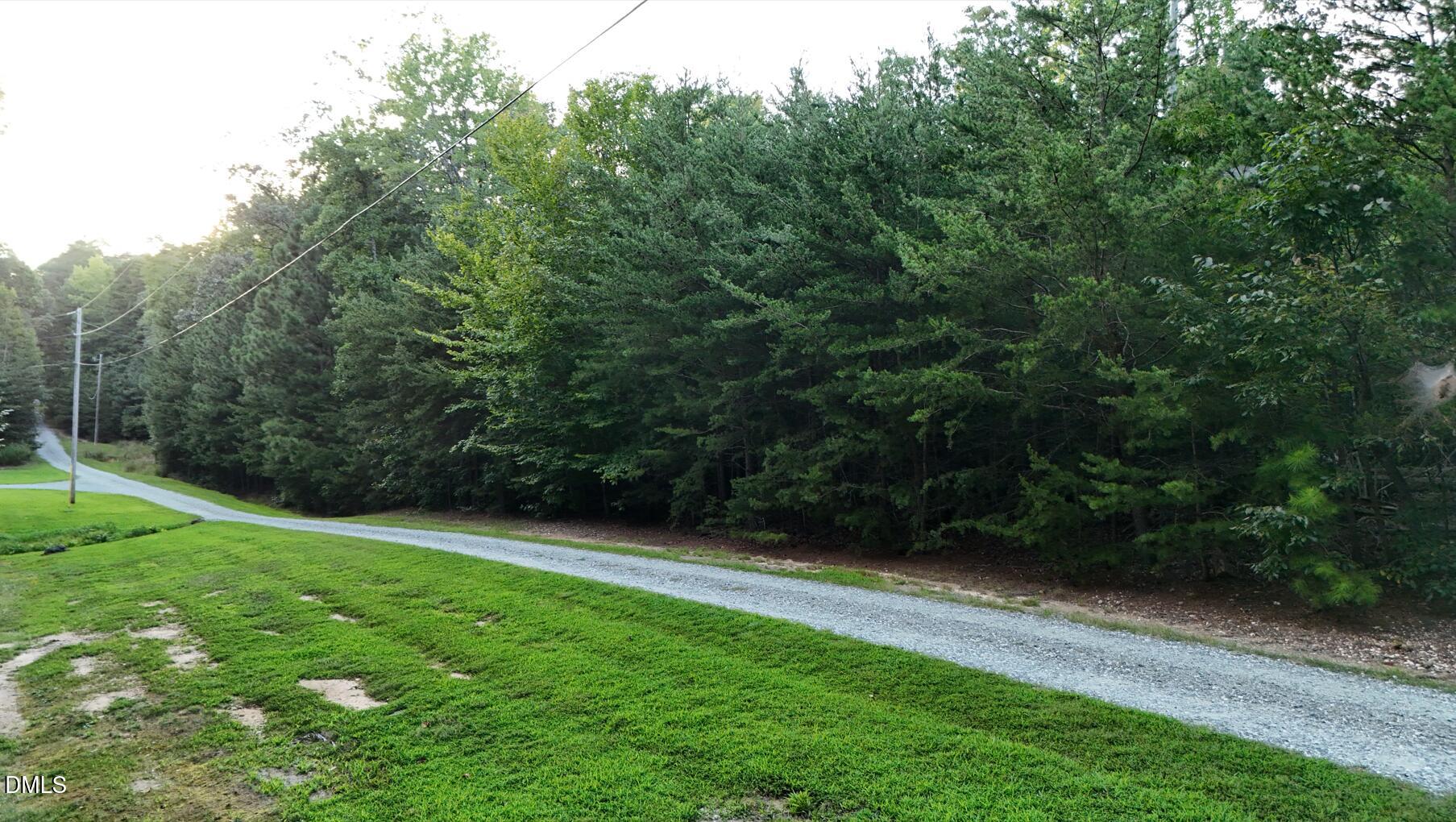 0 Bass Mountain Road Property Photo 17