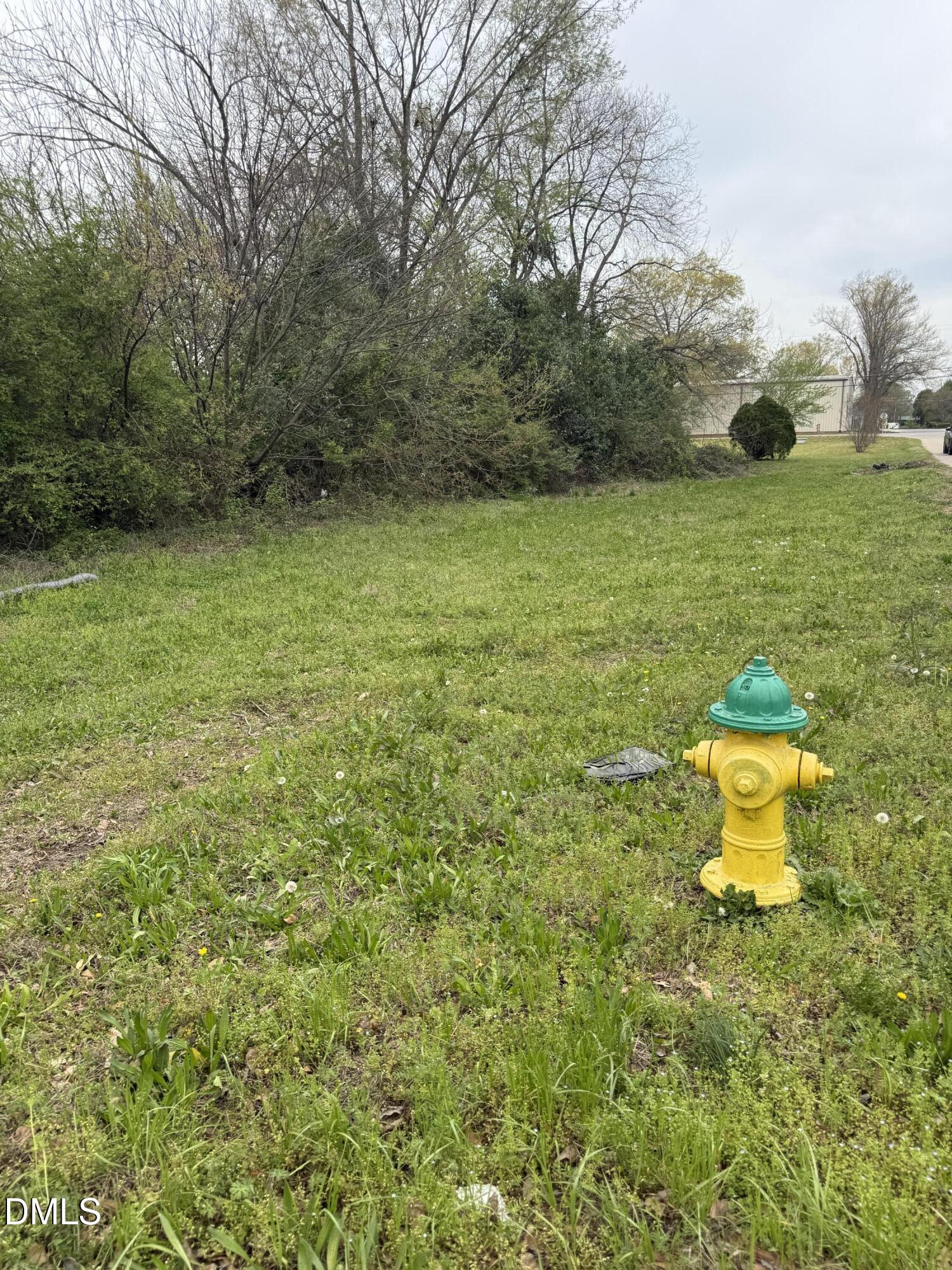 713 N Magnolia Avenue Property Photo 4