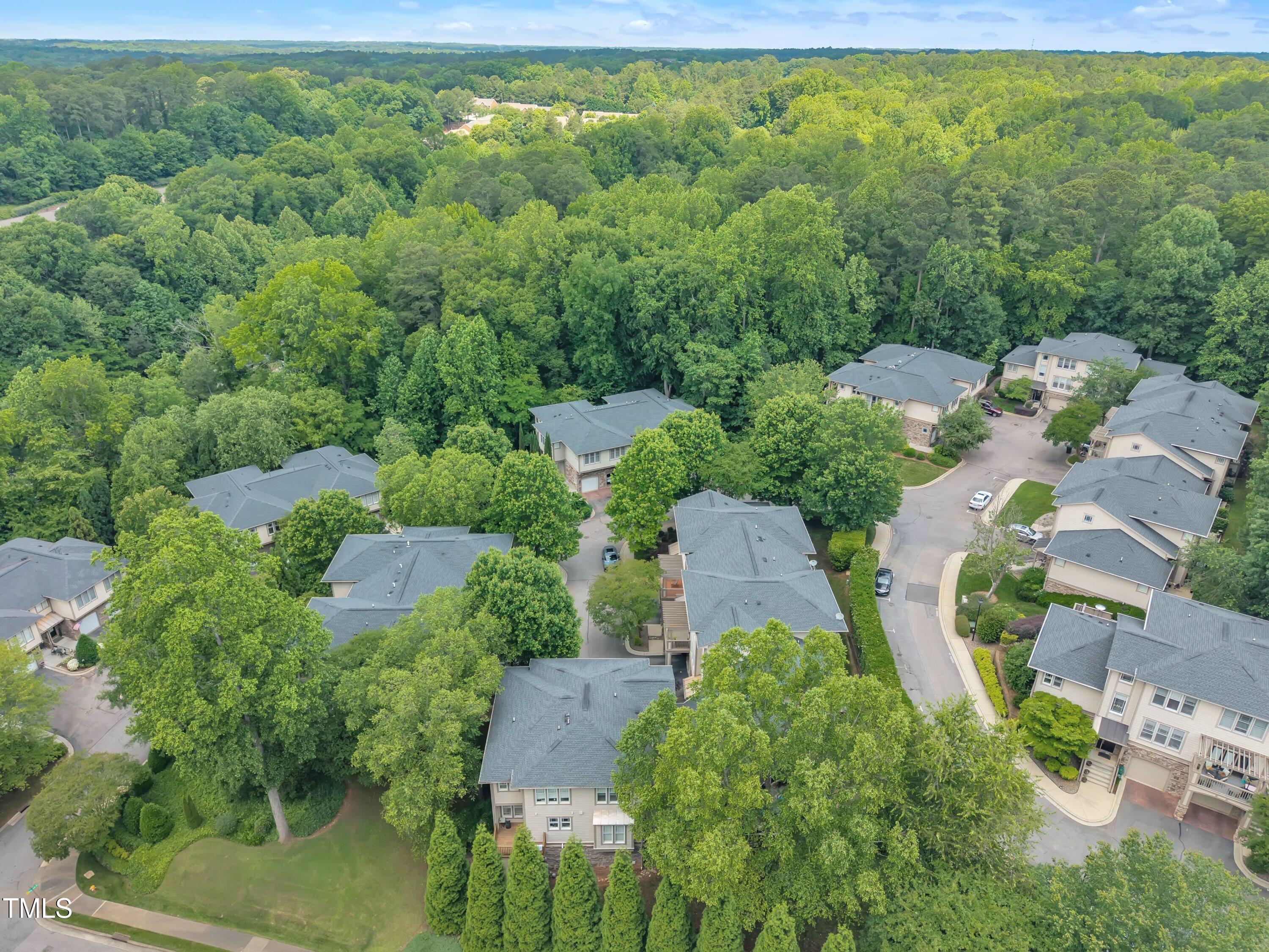 4802 Glenmist Court Property Photo 47