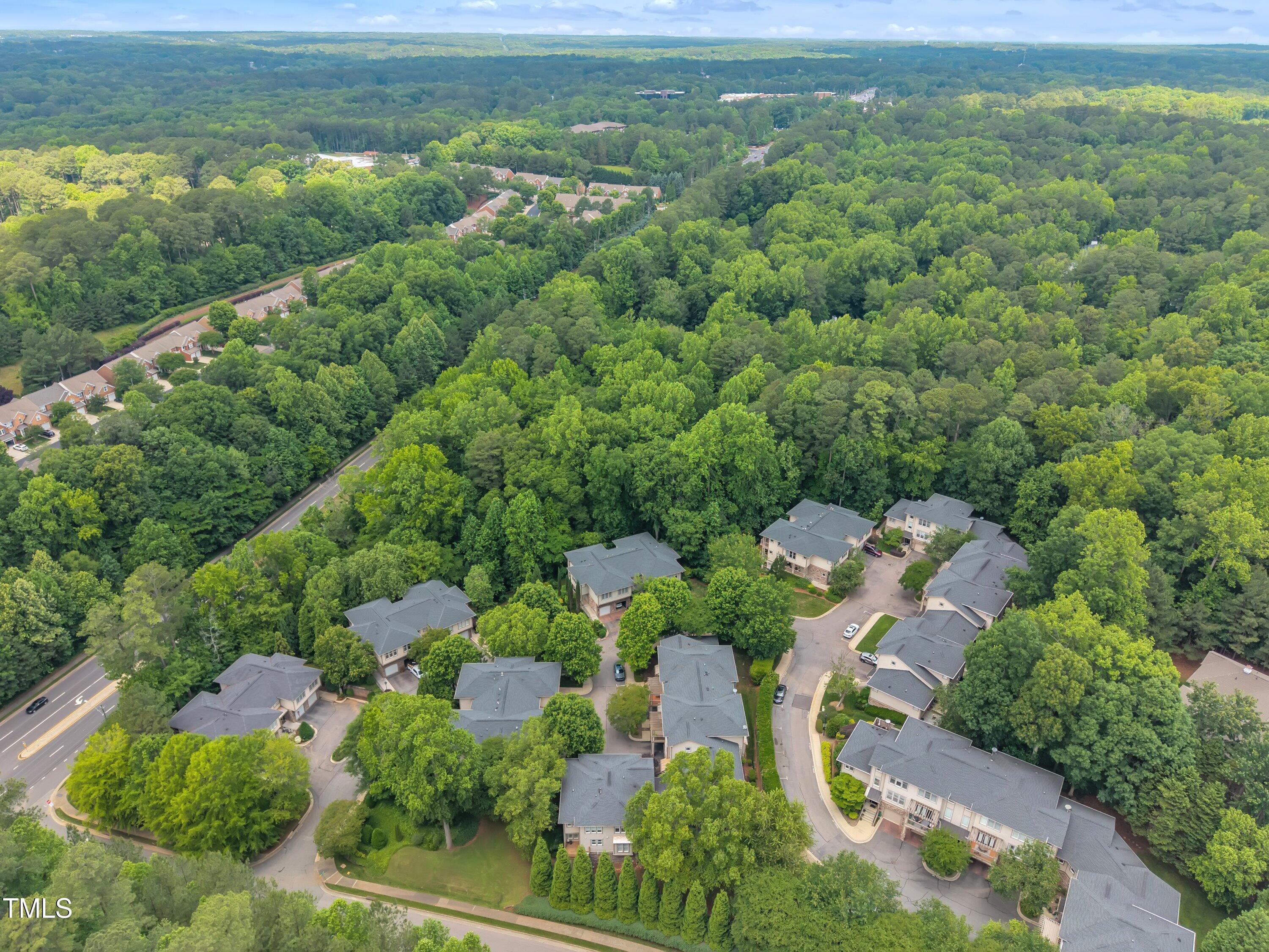 4802 Glenmist Court Property Photo 49