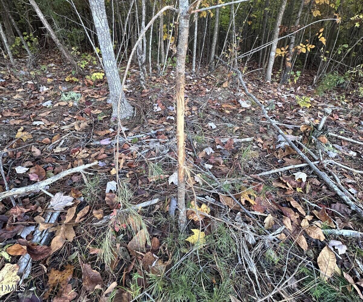 6900, 6918 Russell Road Property Photo 15