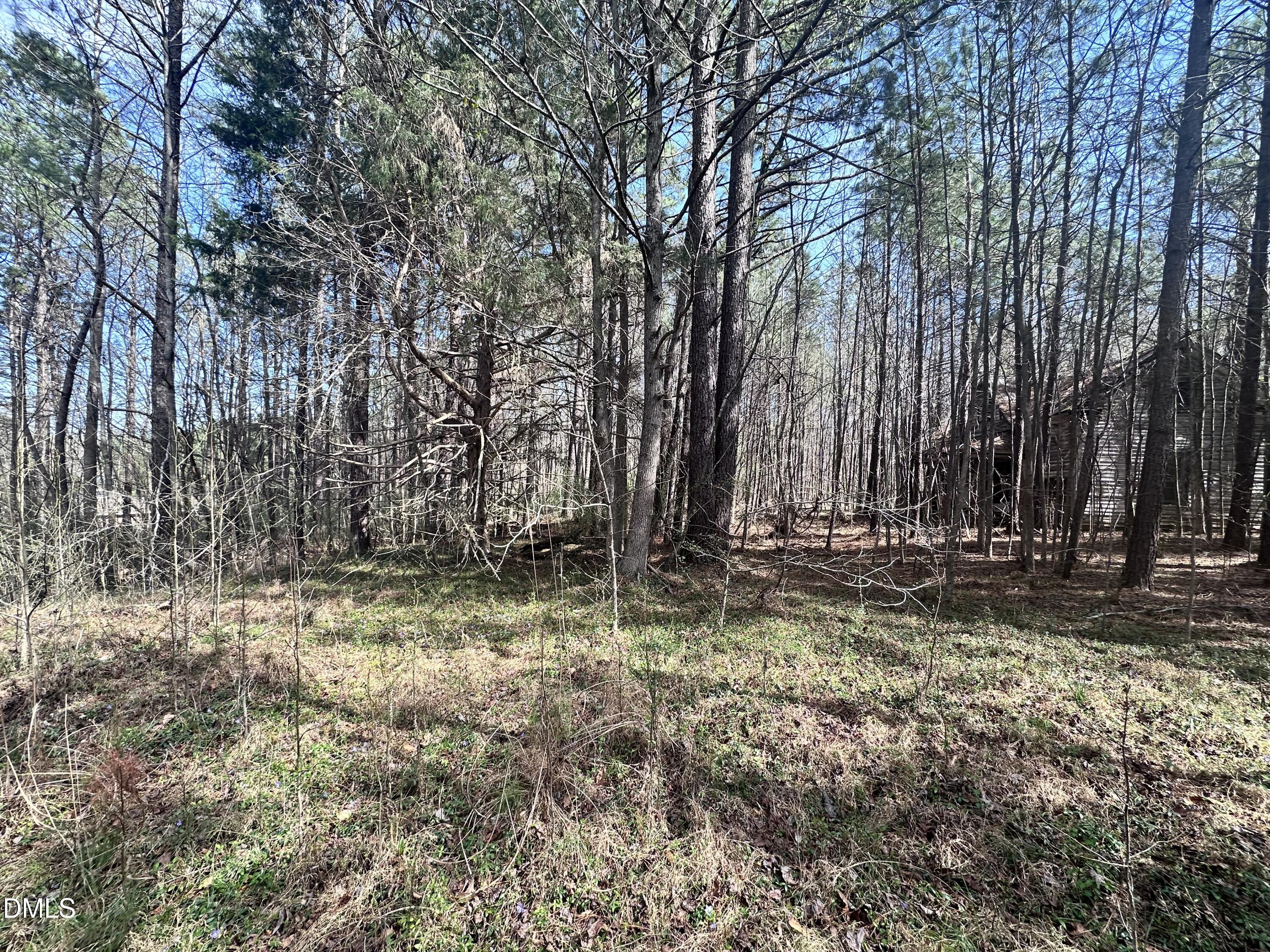 0 Pleasant Hill Church Road Property Photo 1
