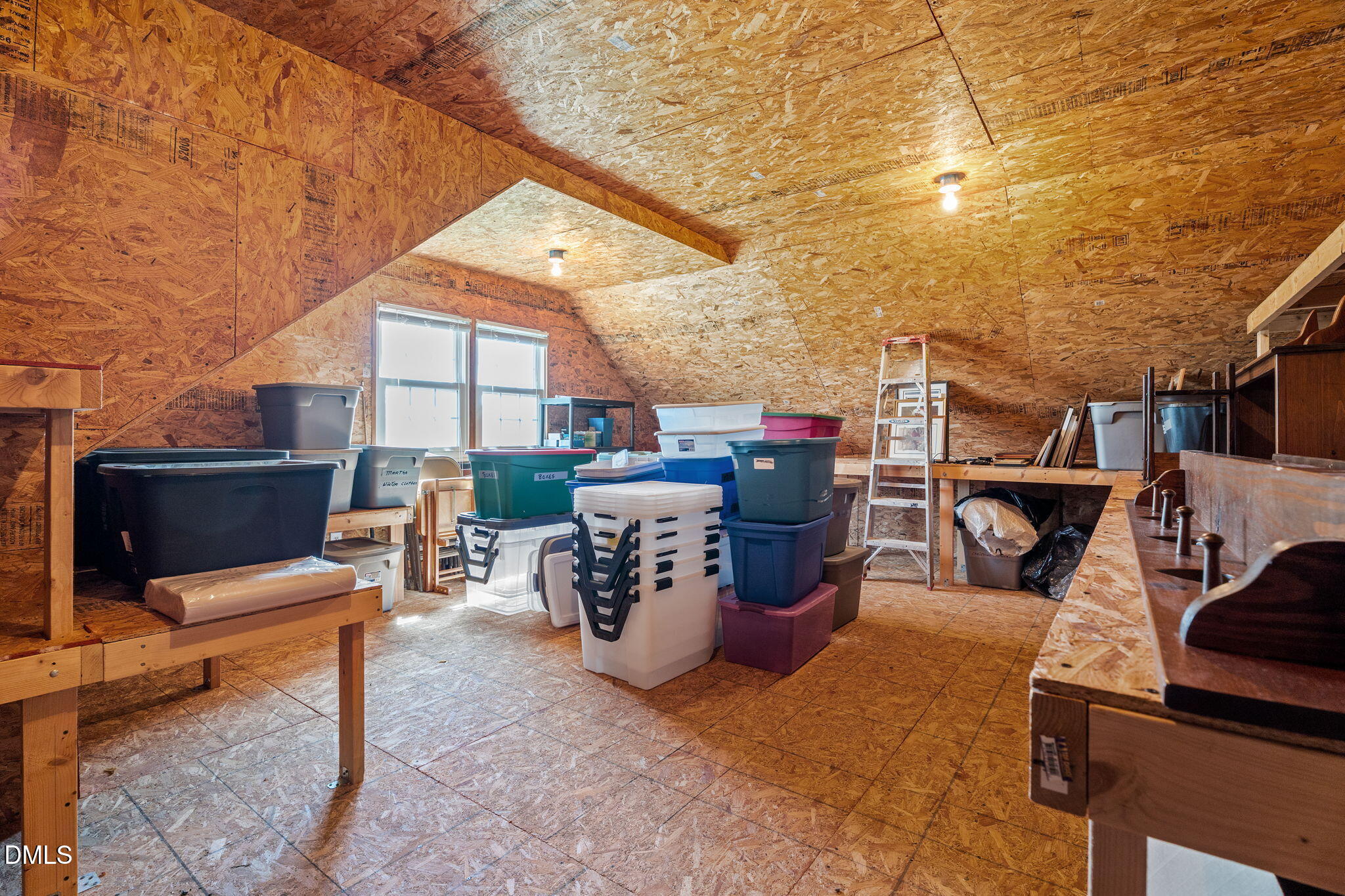 10624 Staghound Trail Property Photo 51