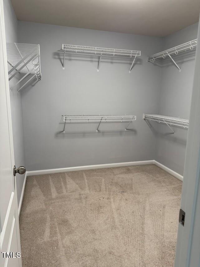 12536 Honeychurch Street Property Photo 32