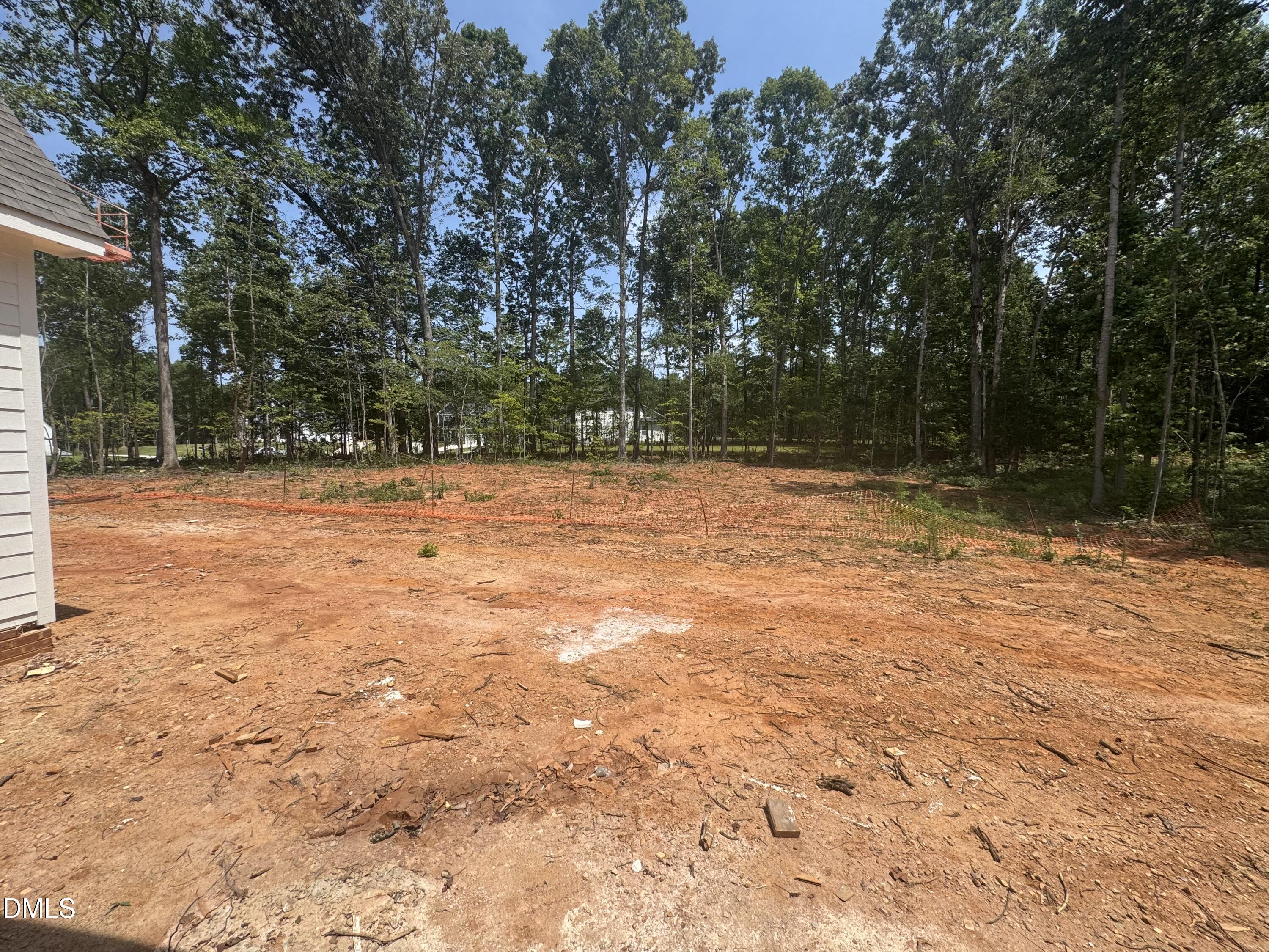 396 Mollie Meadow Drive Property Photo 29