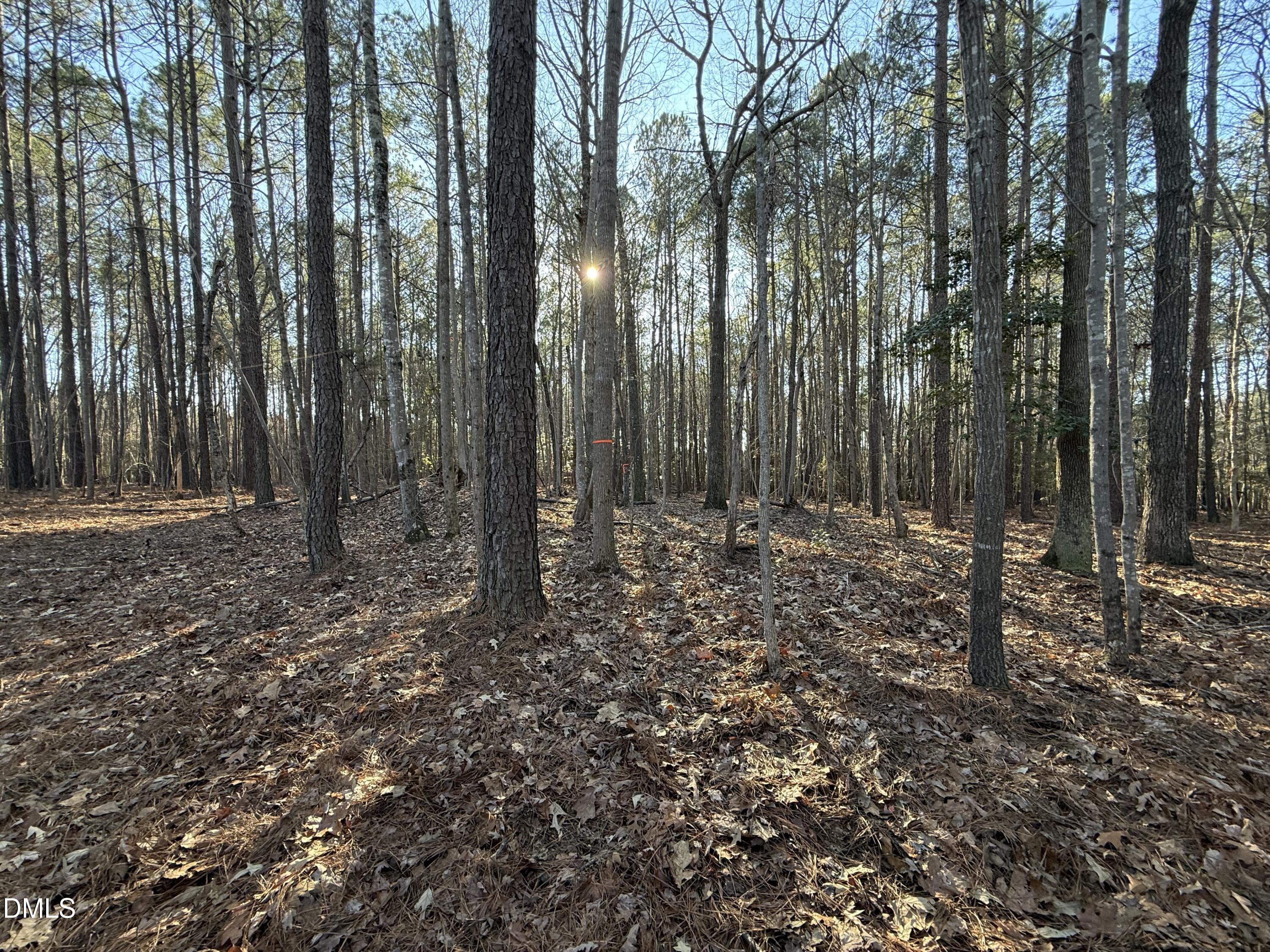 02 Massey Road Property Photo 7
