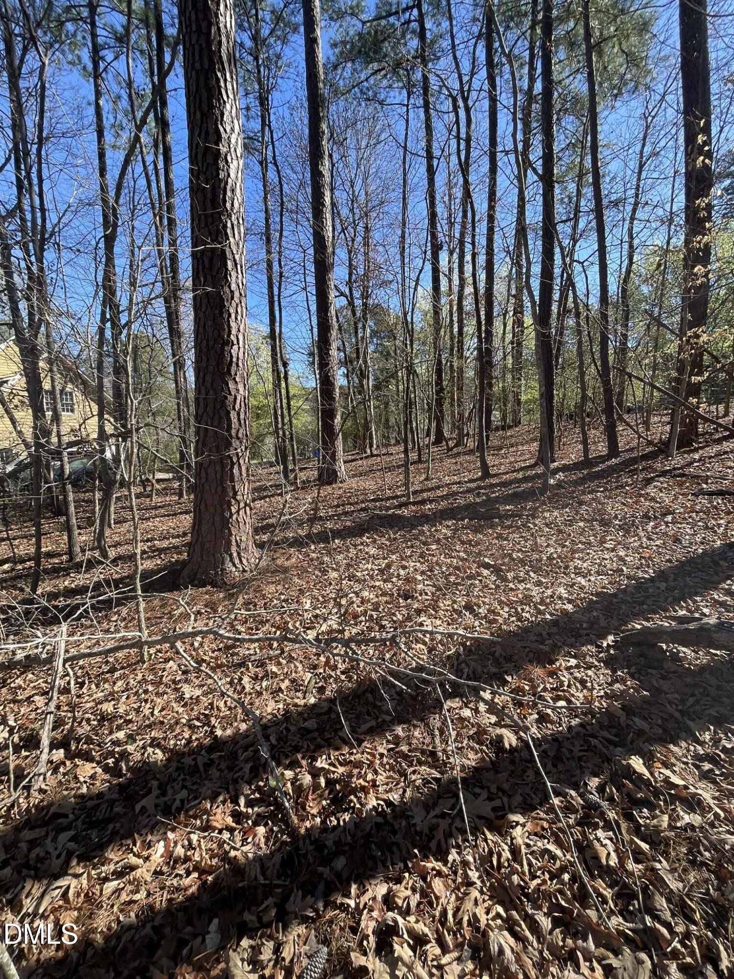 4824 Bay Point Drive Property Photo 5