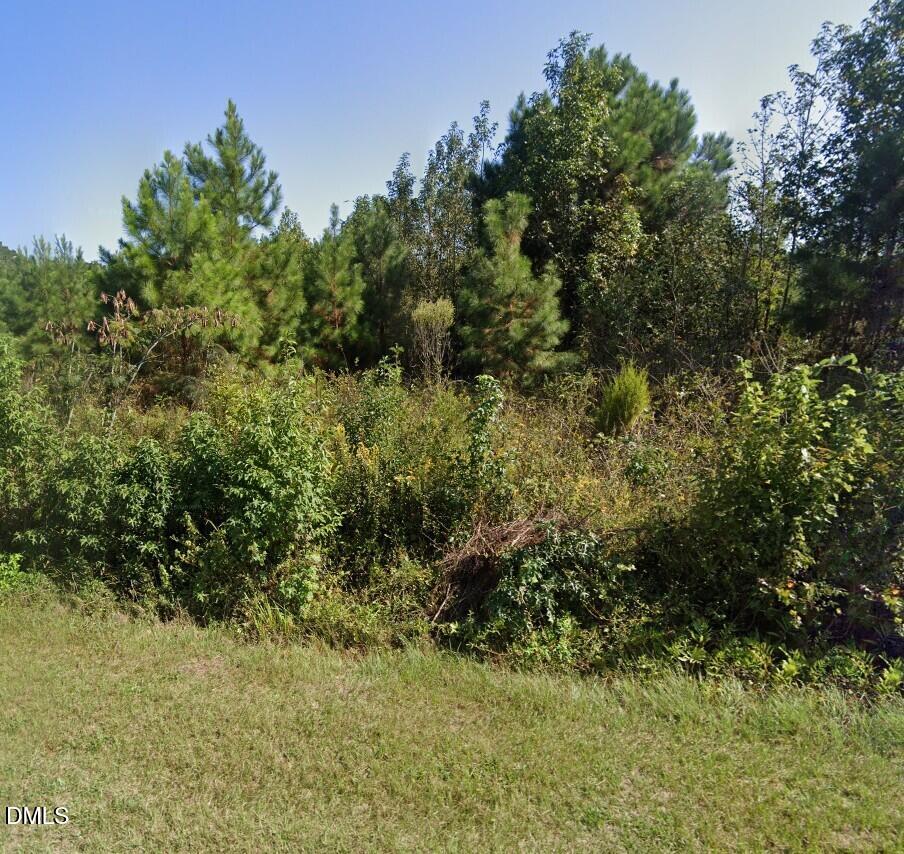 0 Darden Road Property Photo 2