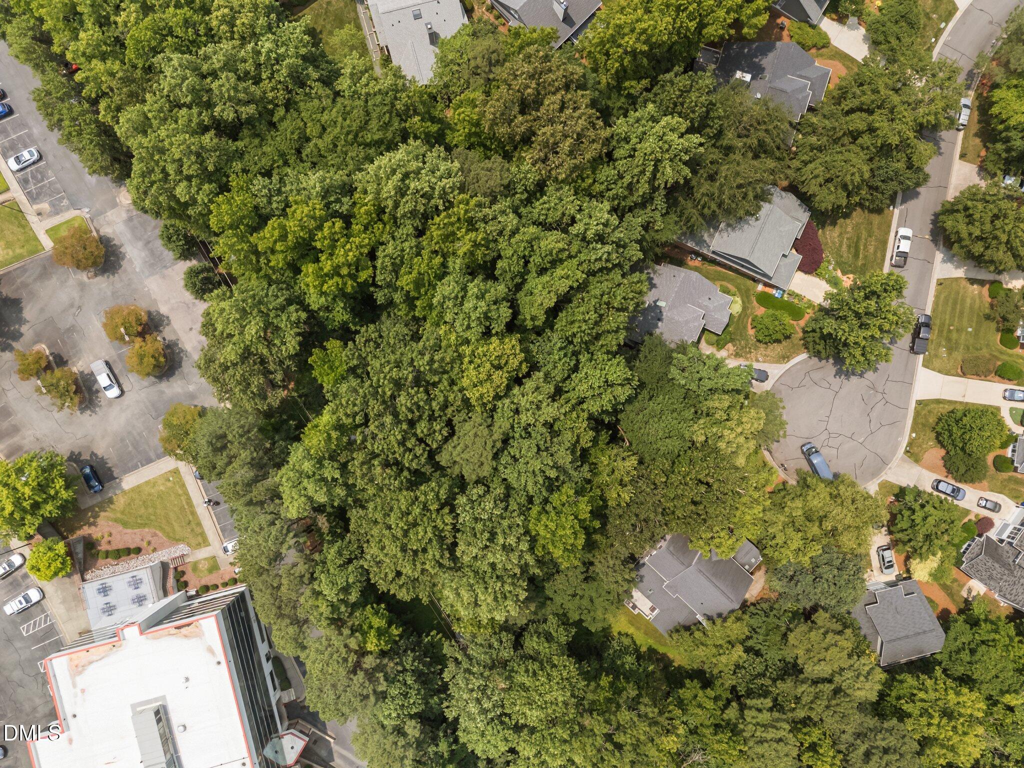 16 Marchmont Court Property Photo 6