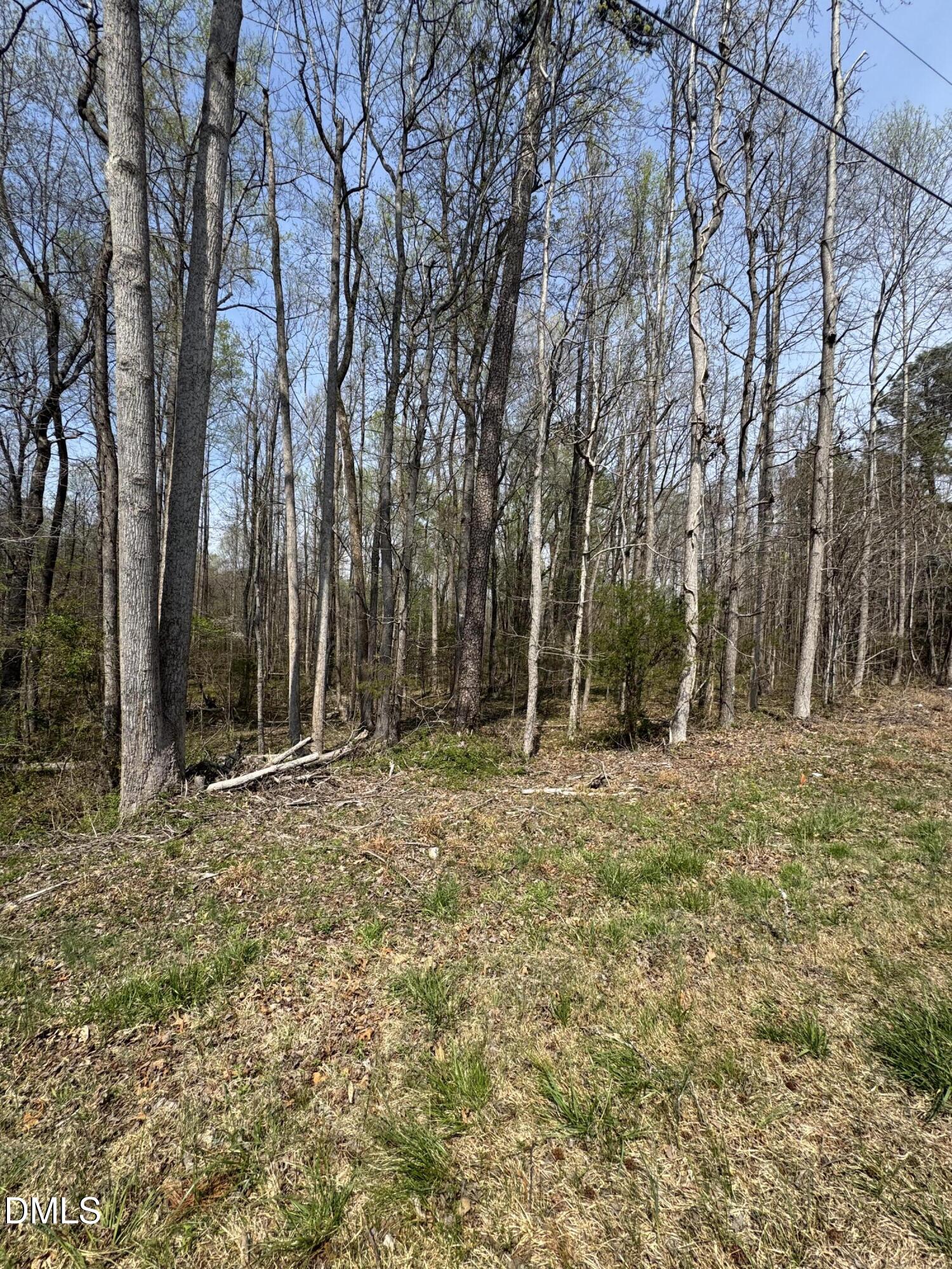 0 Hurdle Mills Road Property Photo 1