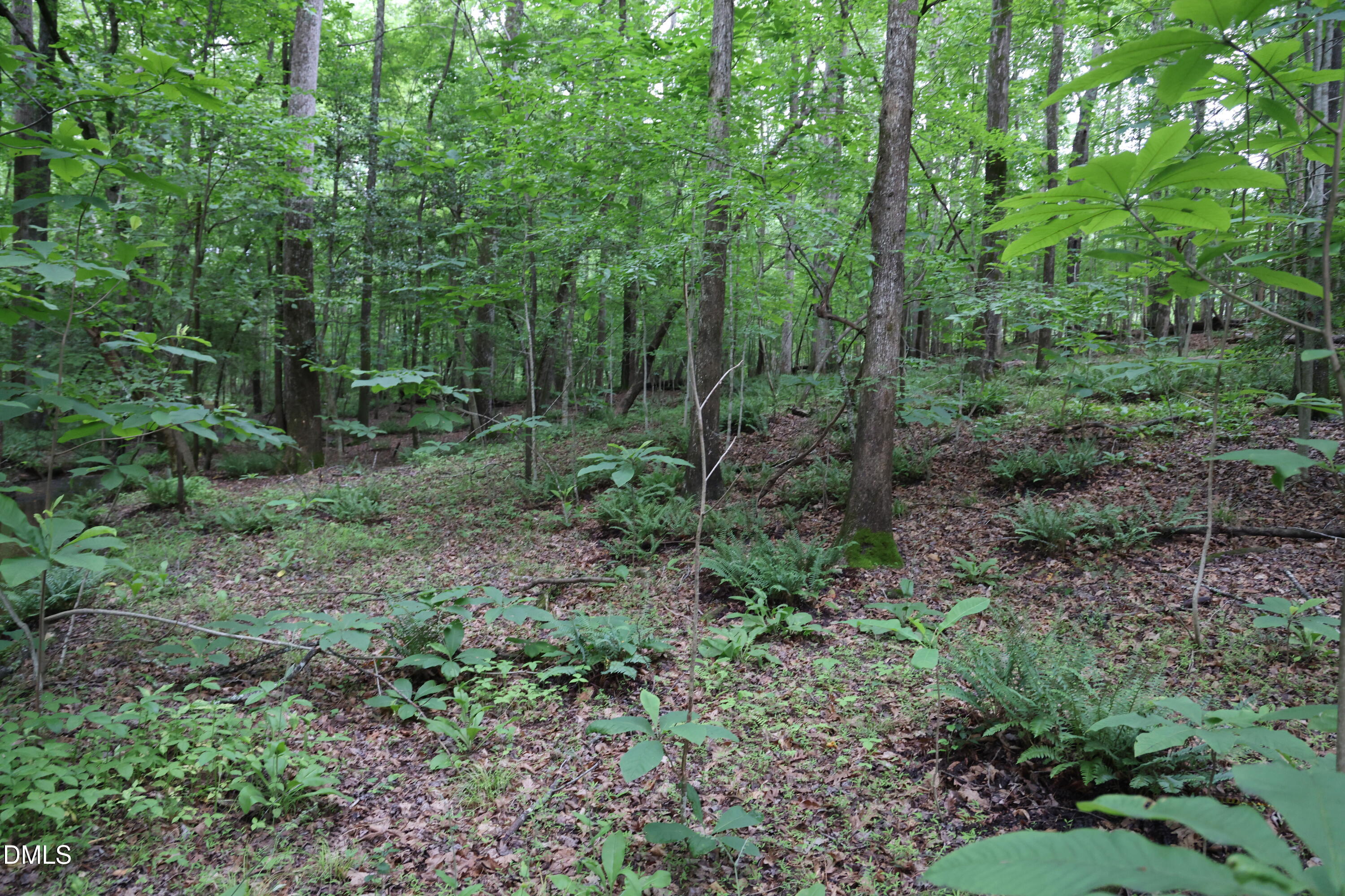 1232 Rivermead Lane Property Photo 20