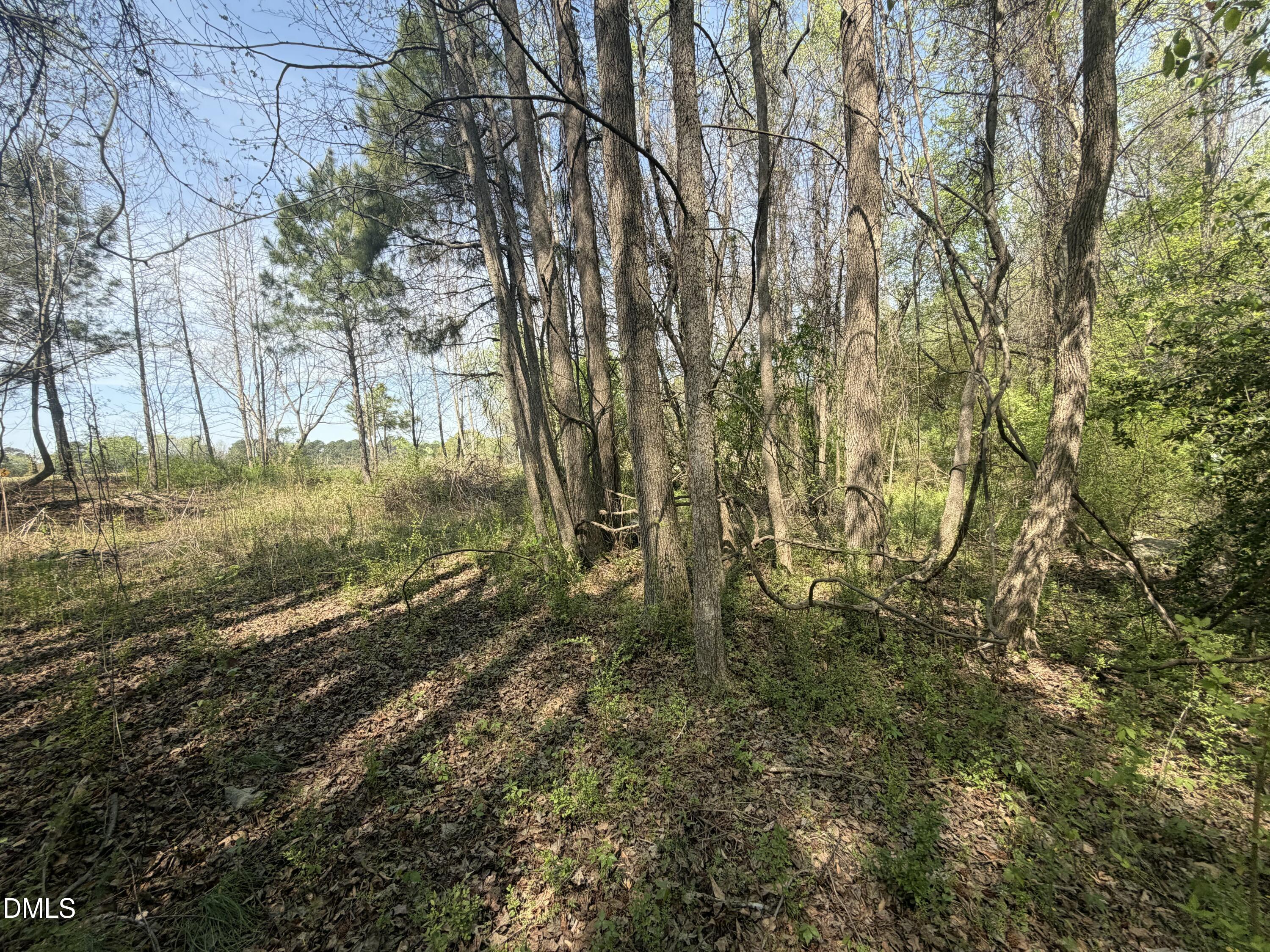 73 Hall Road Property Photo 5
