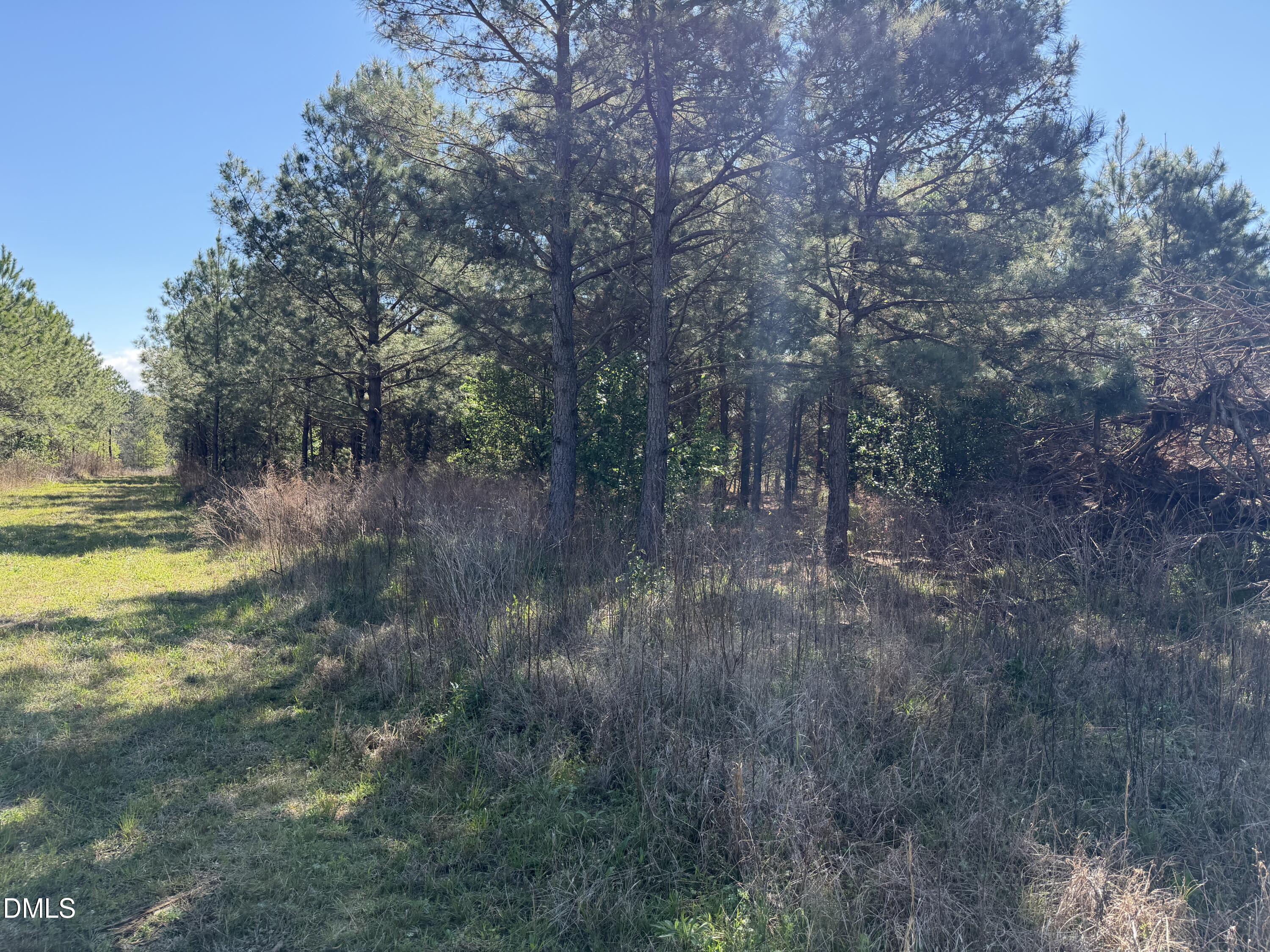 910 Festus Road Property Photo 2