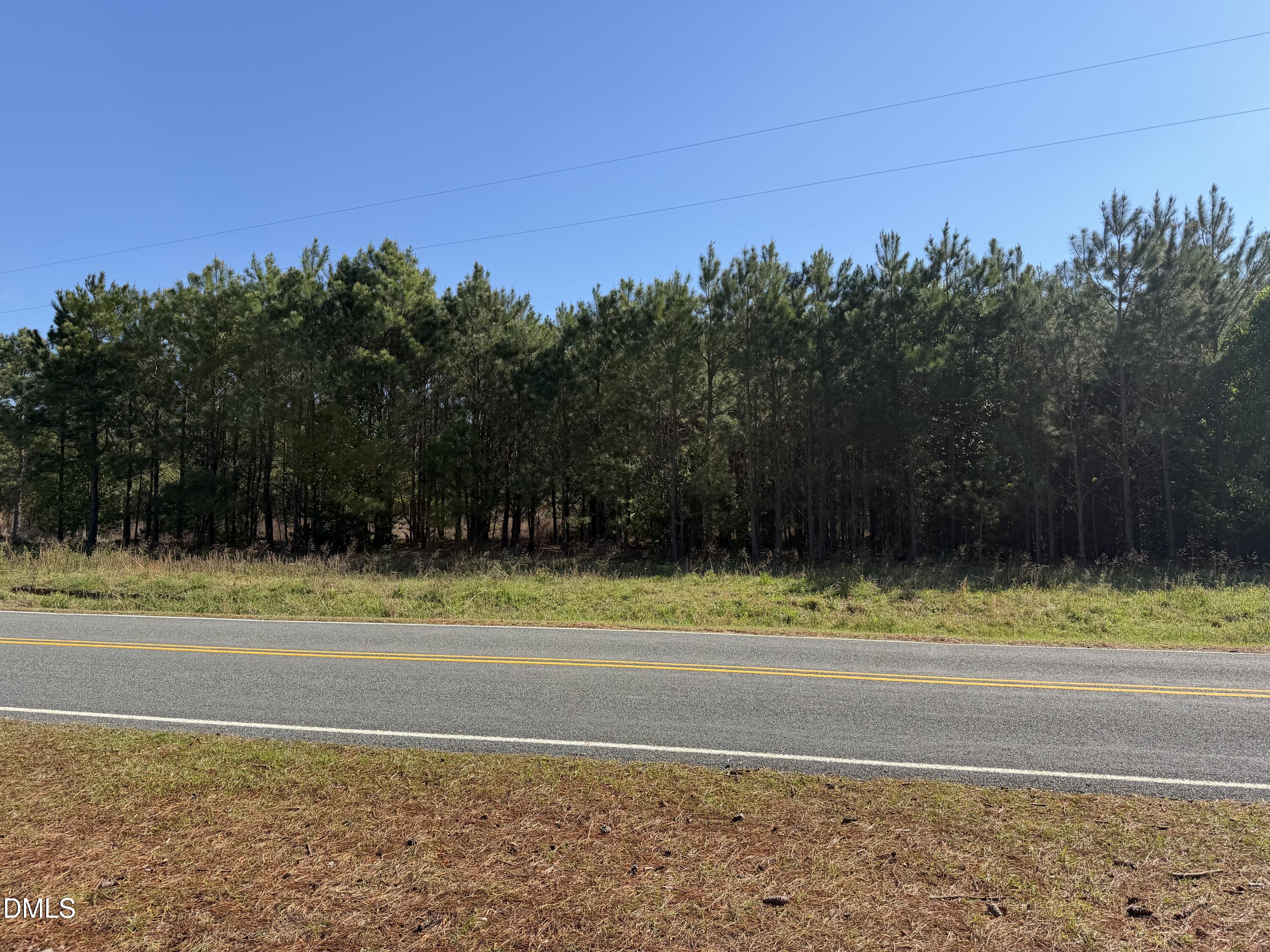 910 Festus Road Property Photo 3
