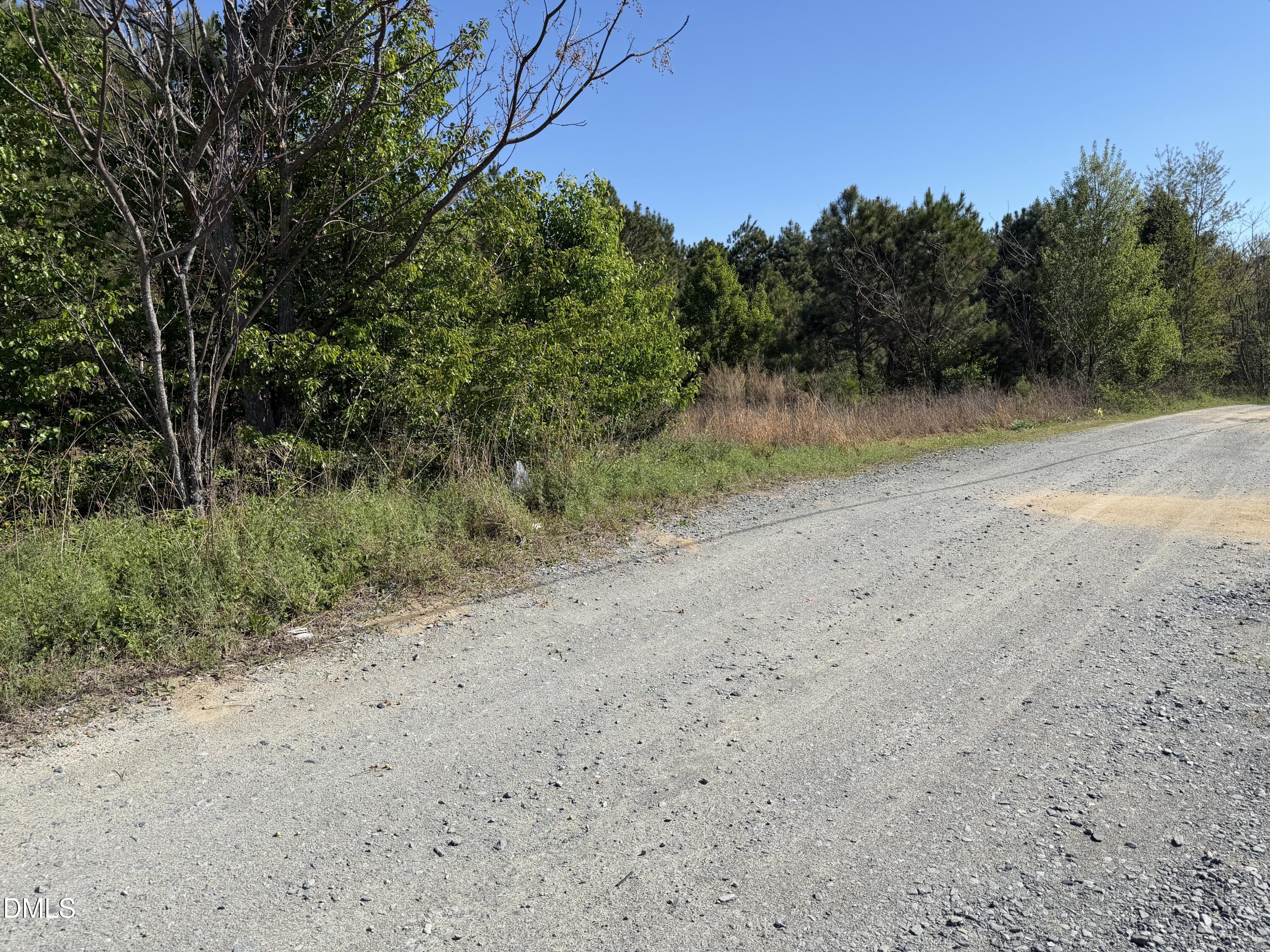 910 Festus Road Property Photo 4