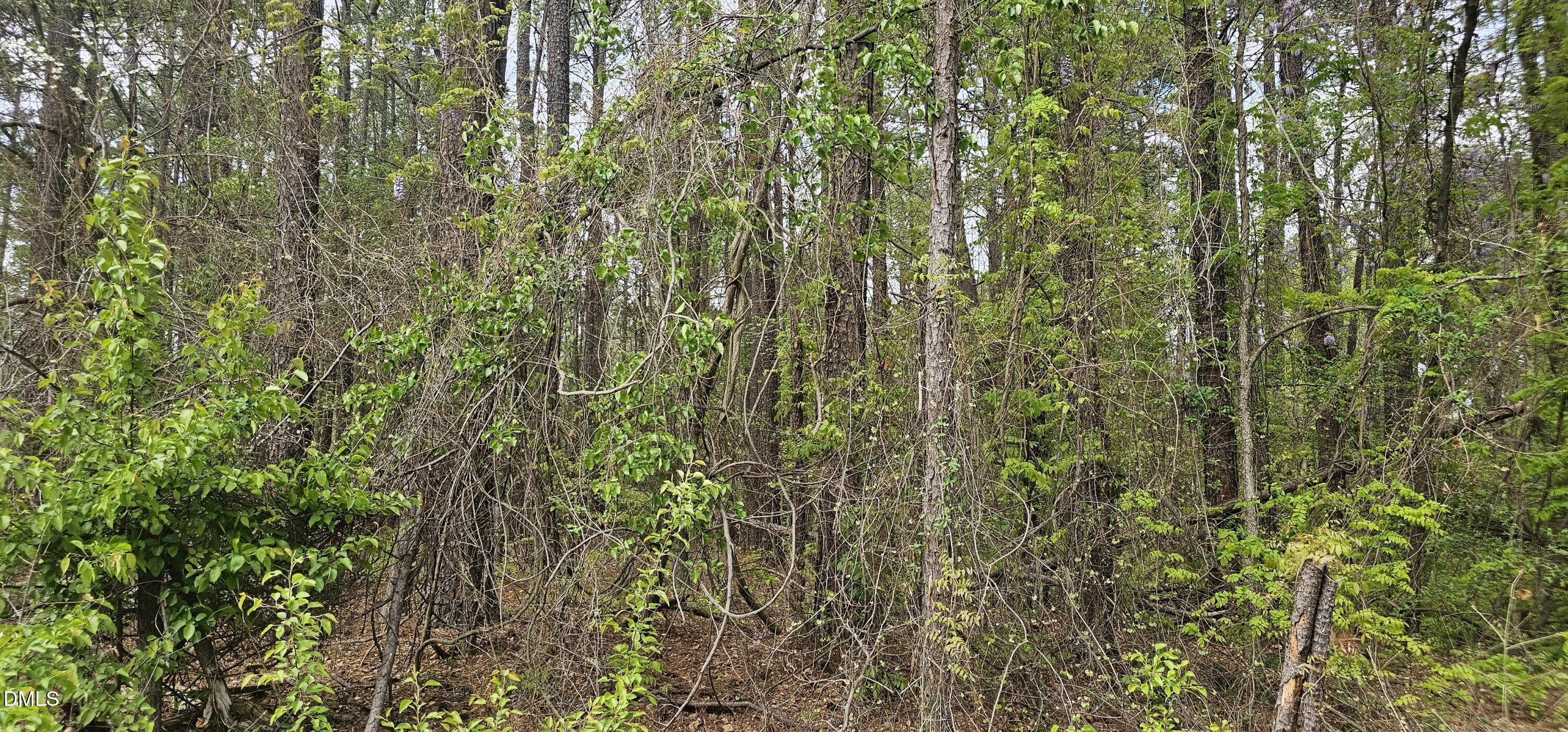 312 Teel Drive Property Photo 1