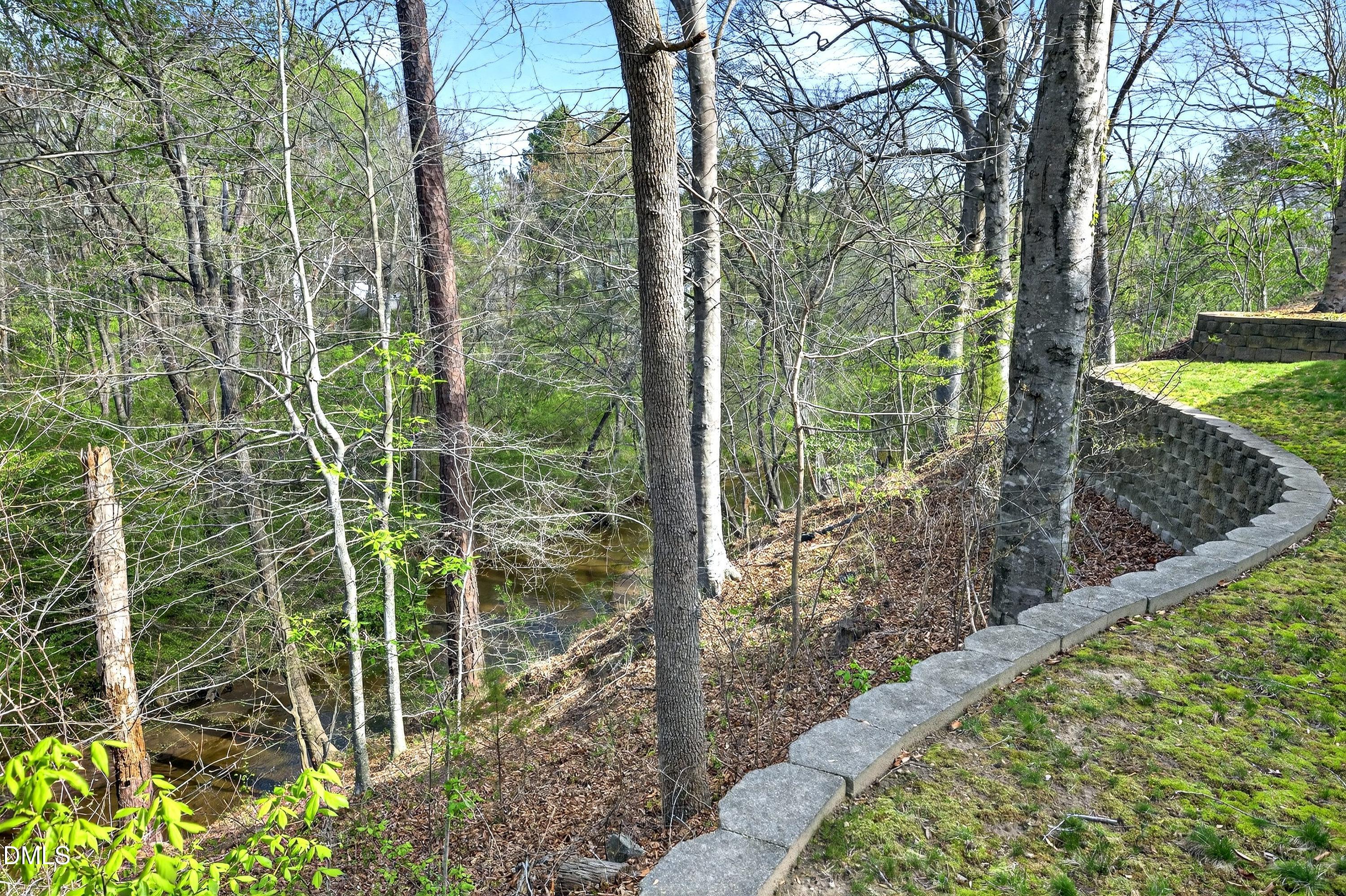 3405 Sparrowwood Drive Property Photo 80