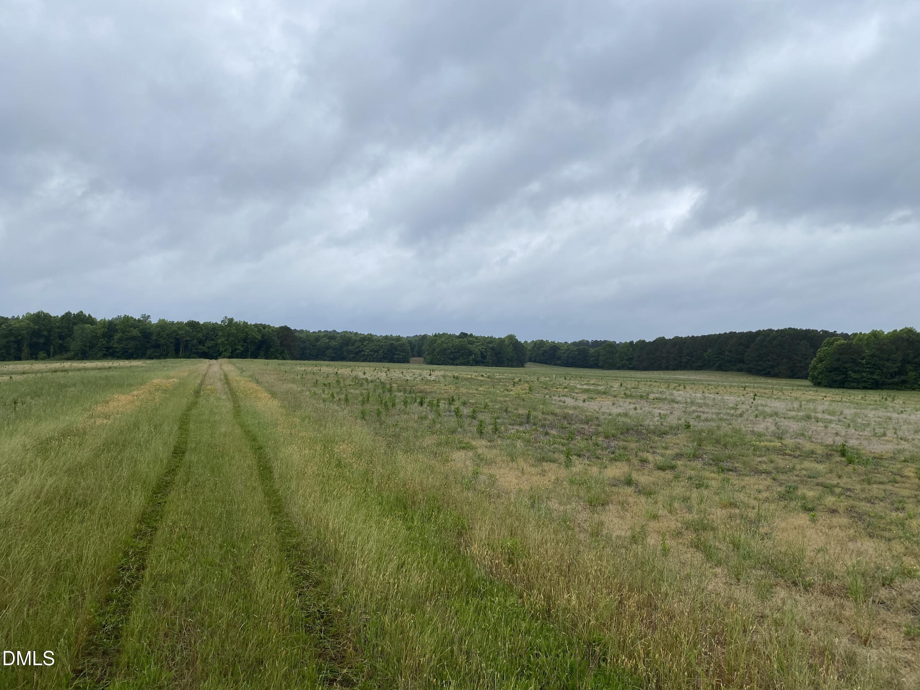 0 Hwy 39 Property Photo 3