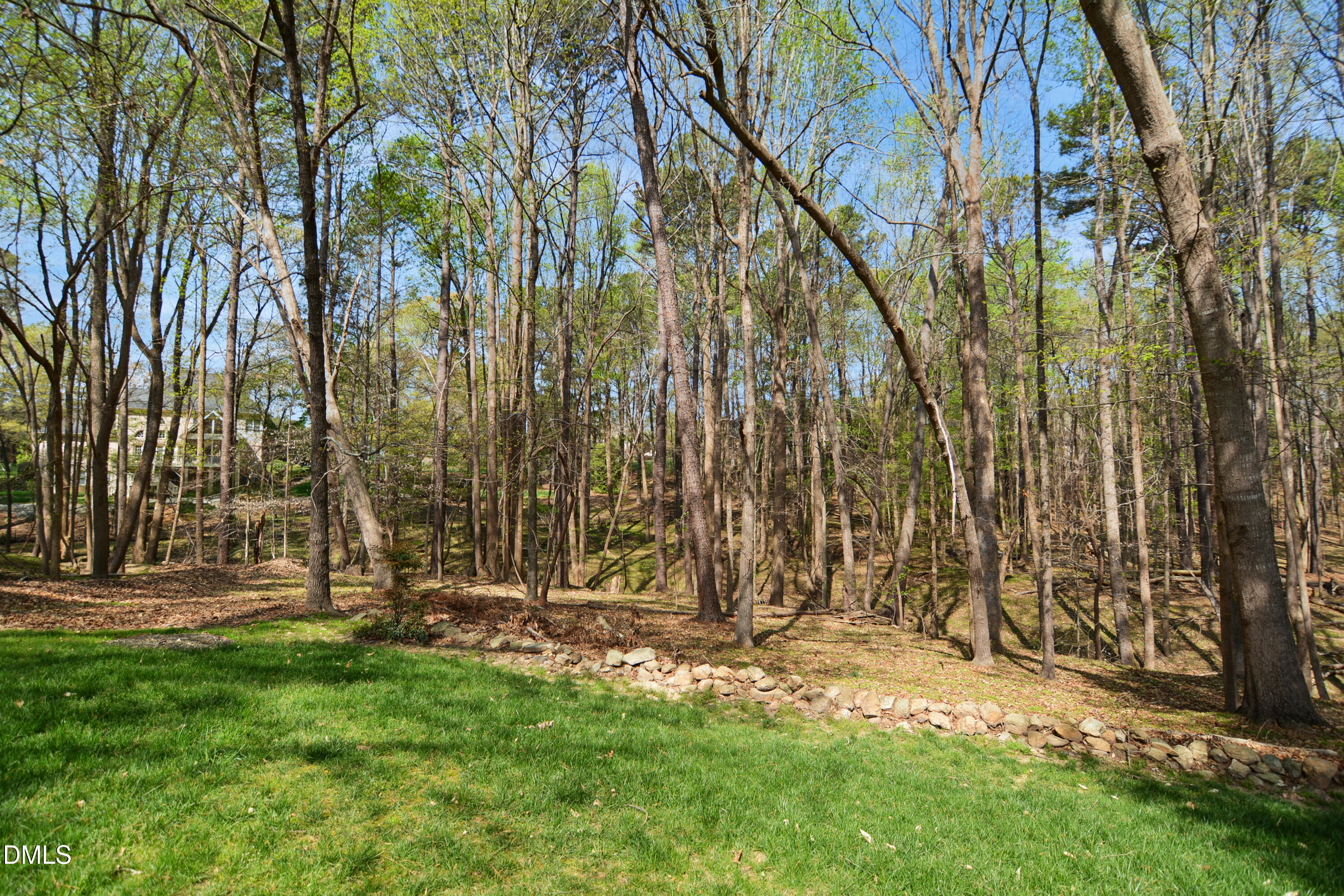6121 Carlyle Drive Property Photo 58
