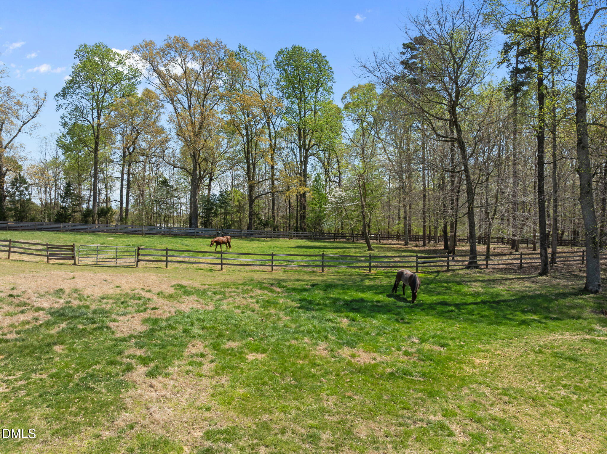 4578 Millpoint Road Property Photo 61