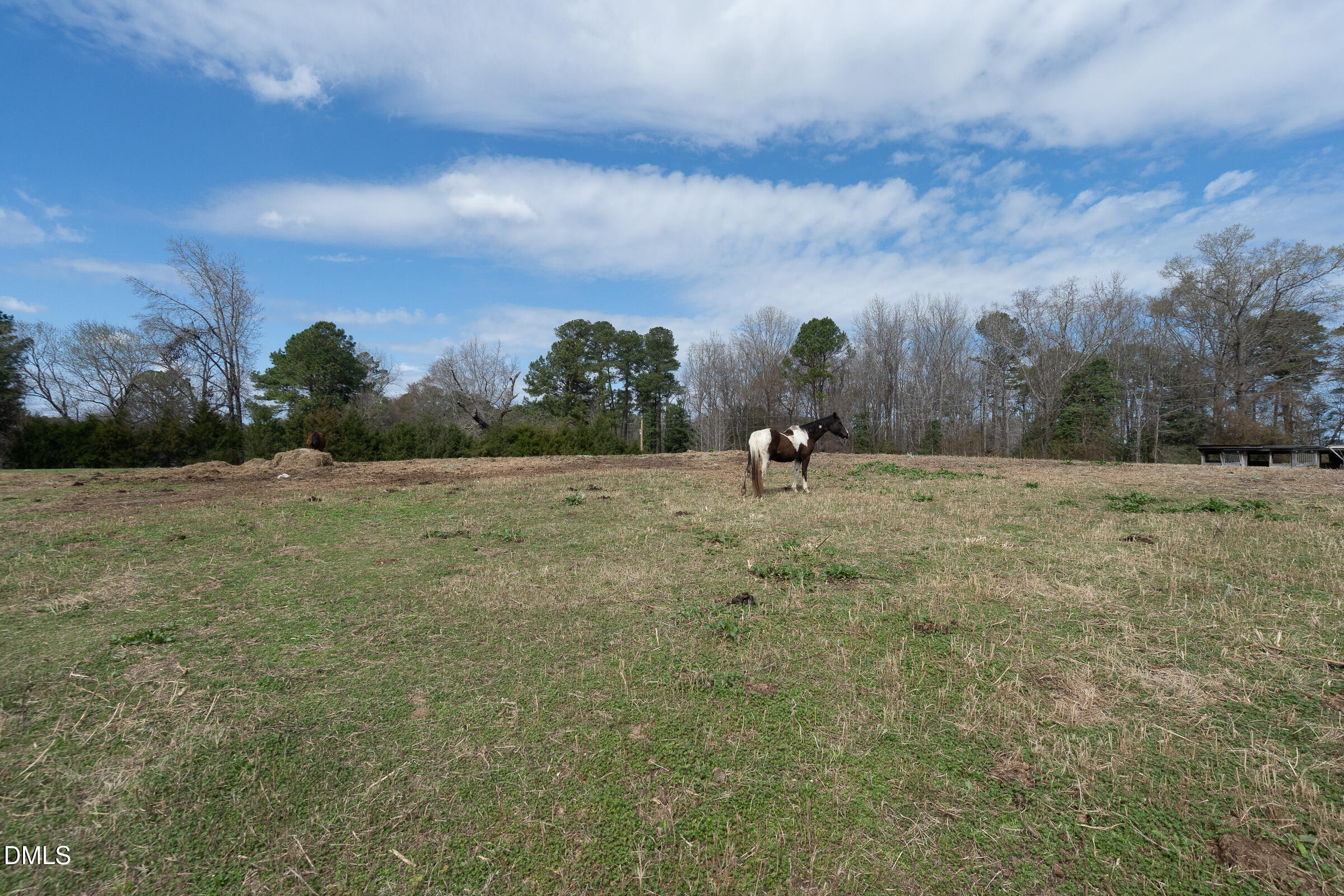 5220 Pulley Town Road Property Photo