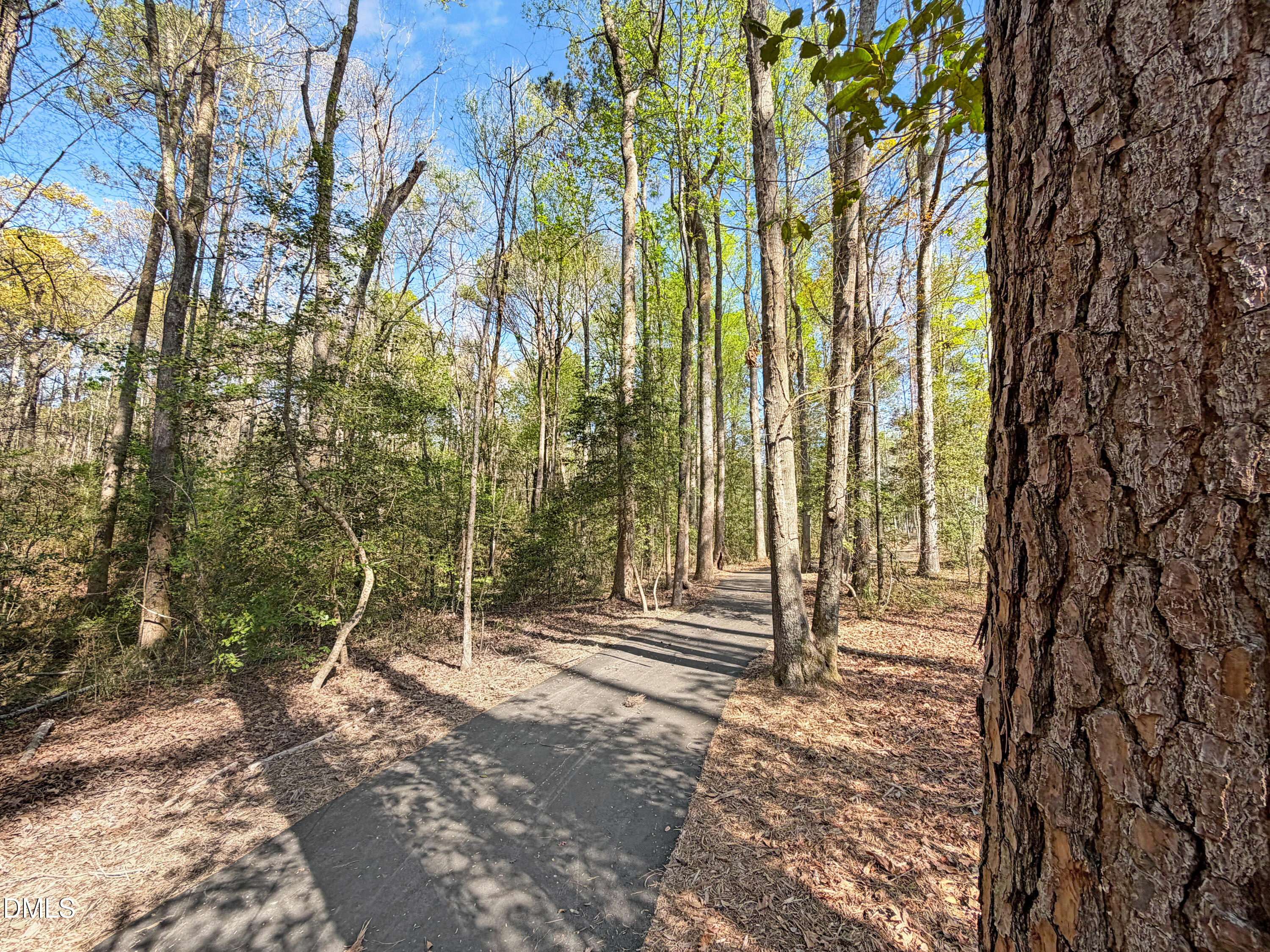 118 Eagle Rock Drive Property Photo 94