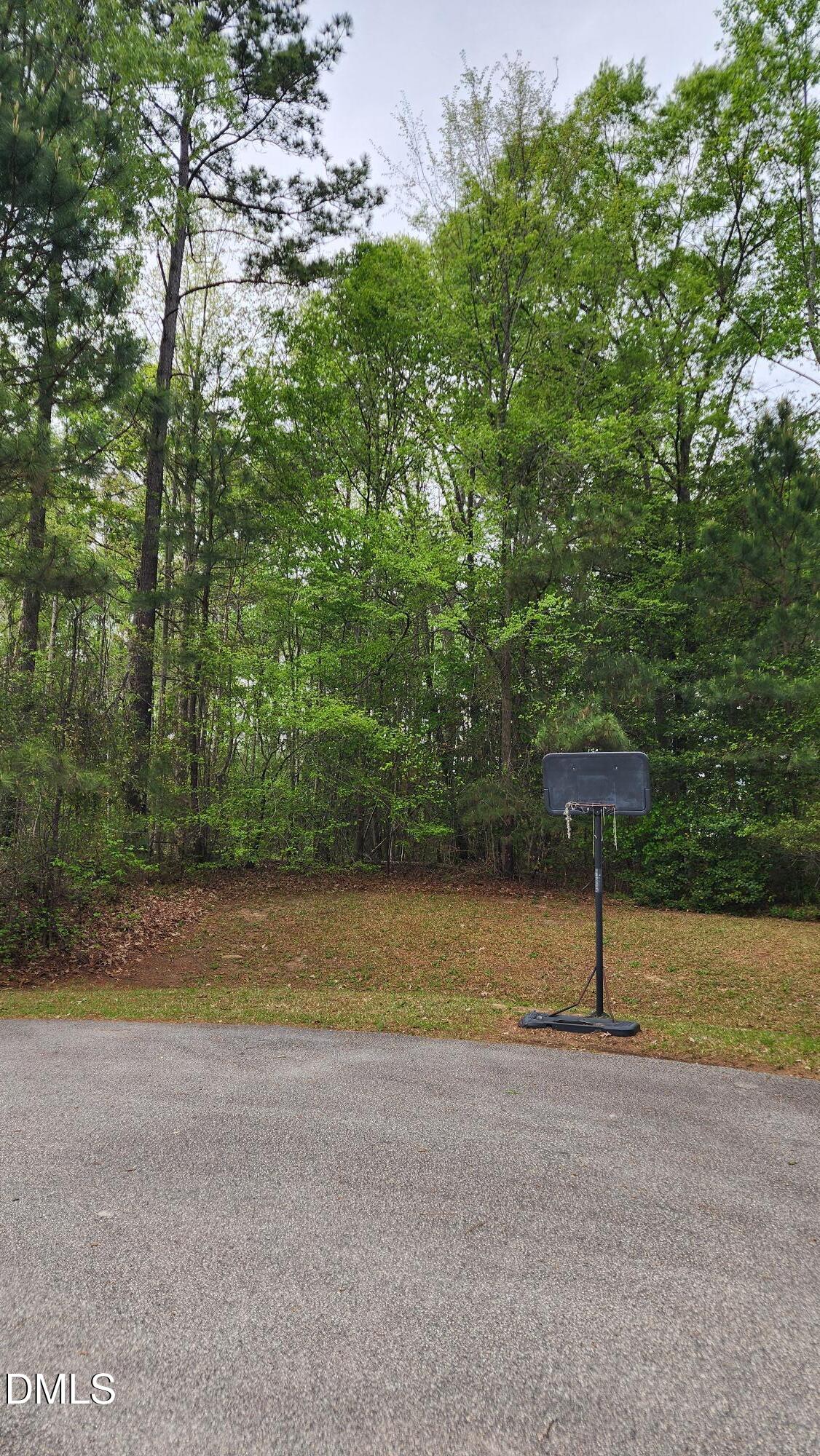 126 W Silver Belle Drive