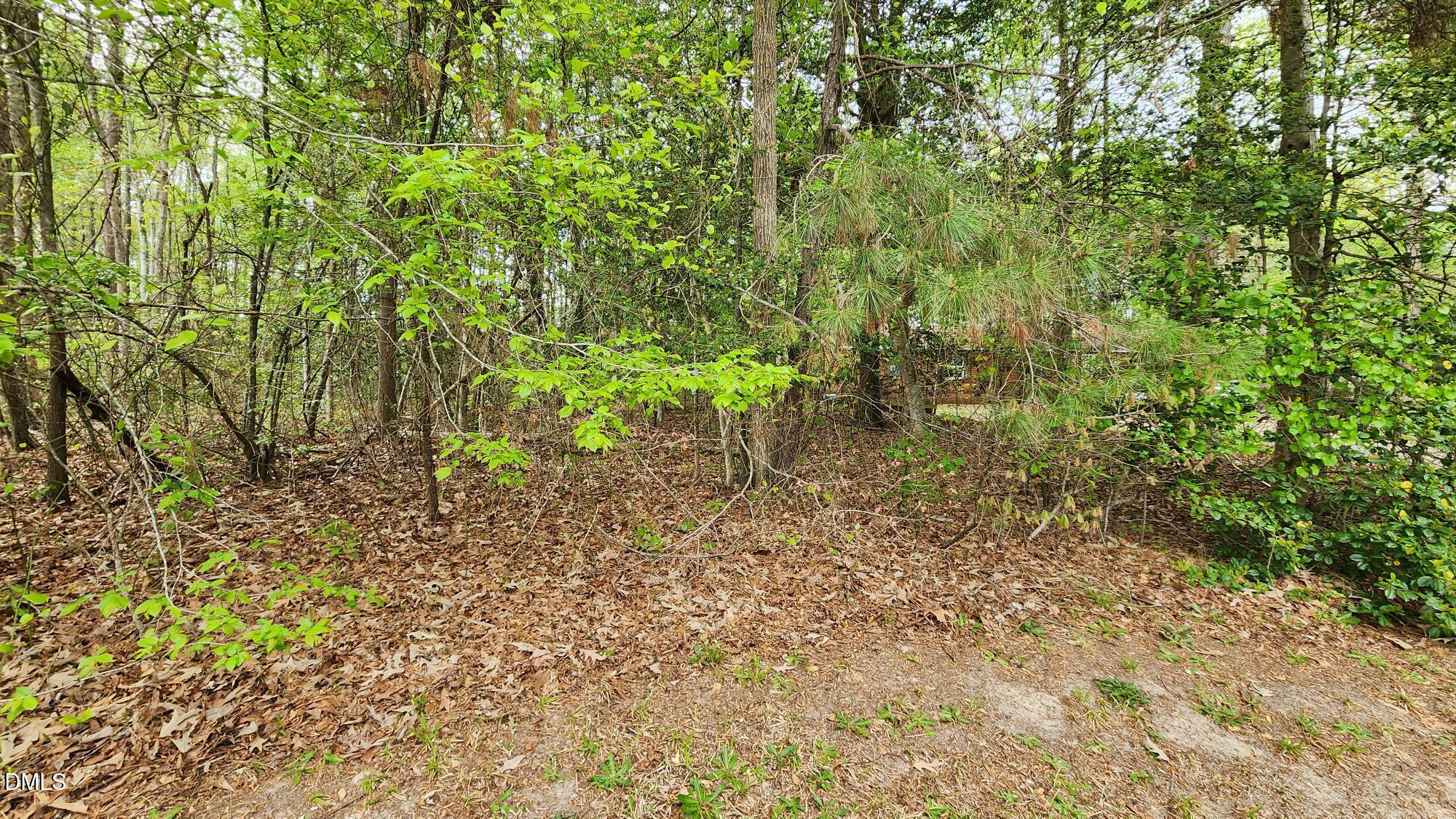 126 W Silver Belle Drive Property Photo 3